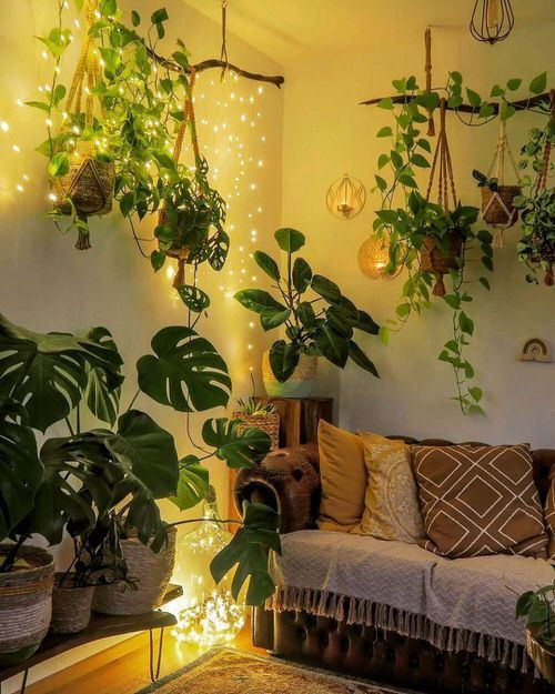 Wallpaper #b5610 30 Pretty House Plants Ideas for Living Room Decoration Living Room