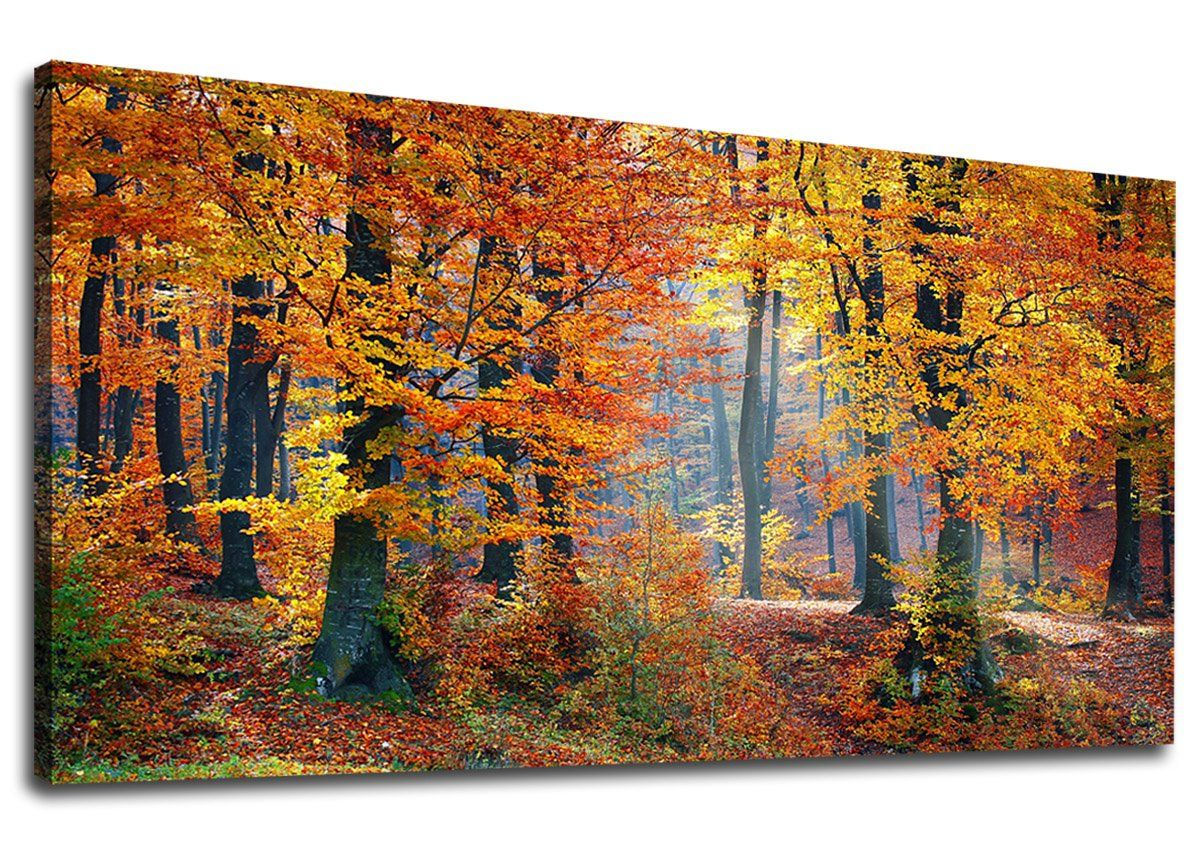 Wallpaper #xQOFYpMBpyOg8YnEvdI-260 Amazon Wall Art Photos All Recommendation