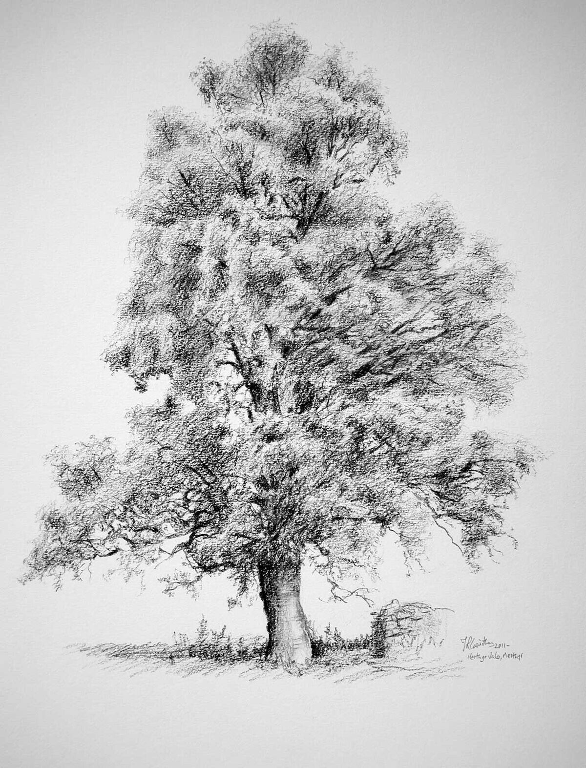 Wallpaper #BWgvFZMBSpphPi3-Zwec57 Free Pencil Sketch Drawing of a Tree for Beginner Sketch Art and