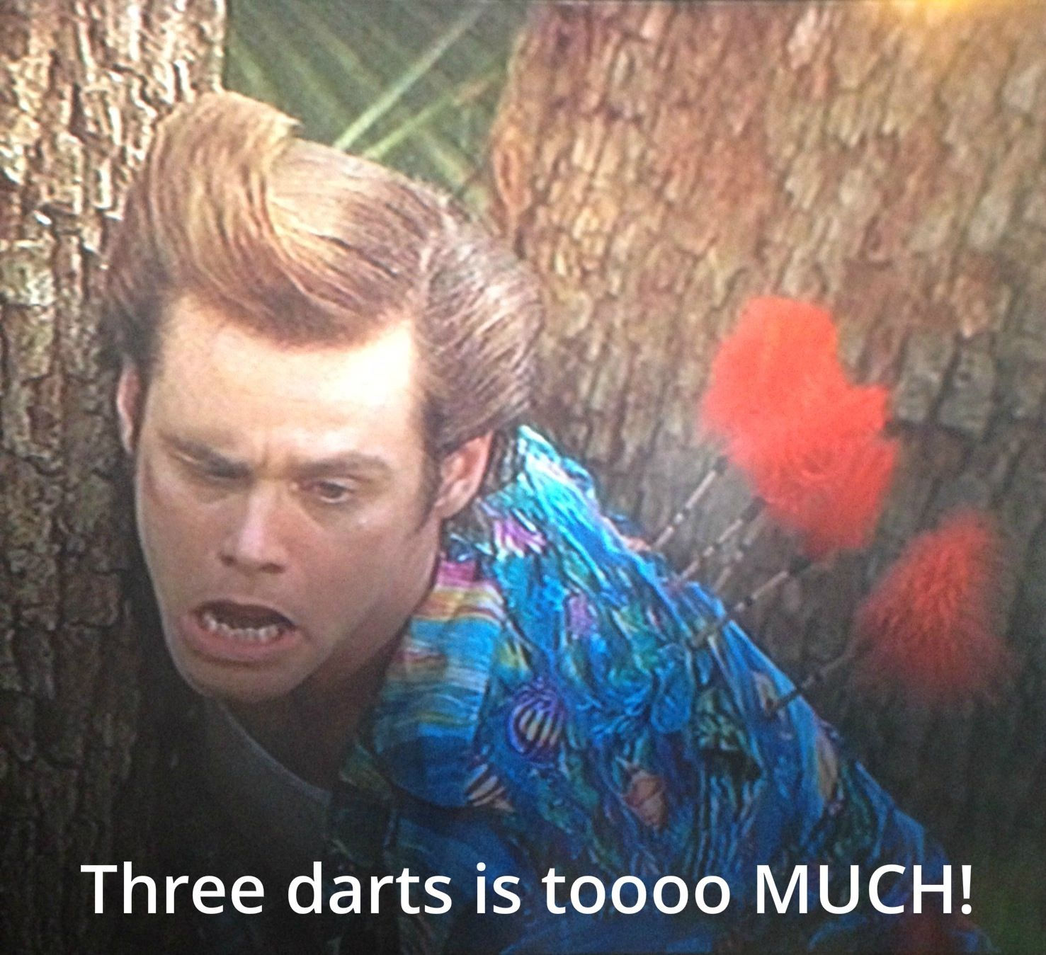 Wallpaper #VmdaCpMBSpphPi3-GtSO443 Pin by Rose Marshall on as Funny as It Gets Ace Ventura Ace Ventura
