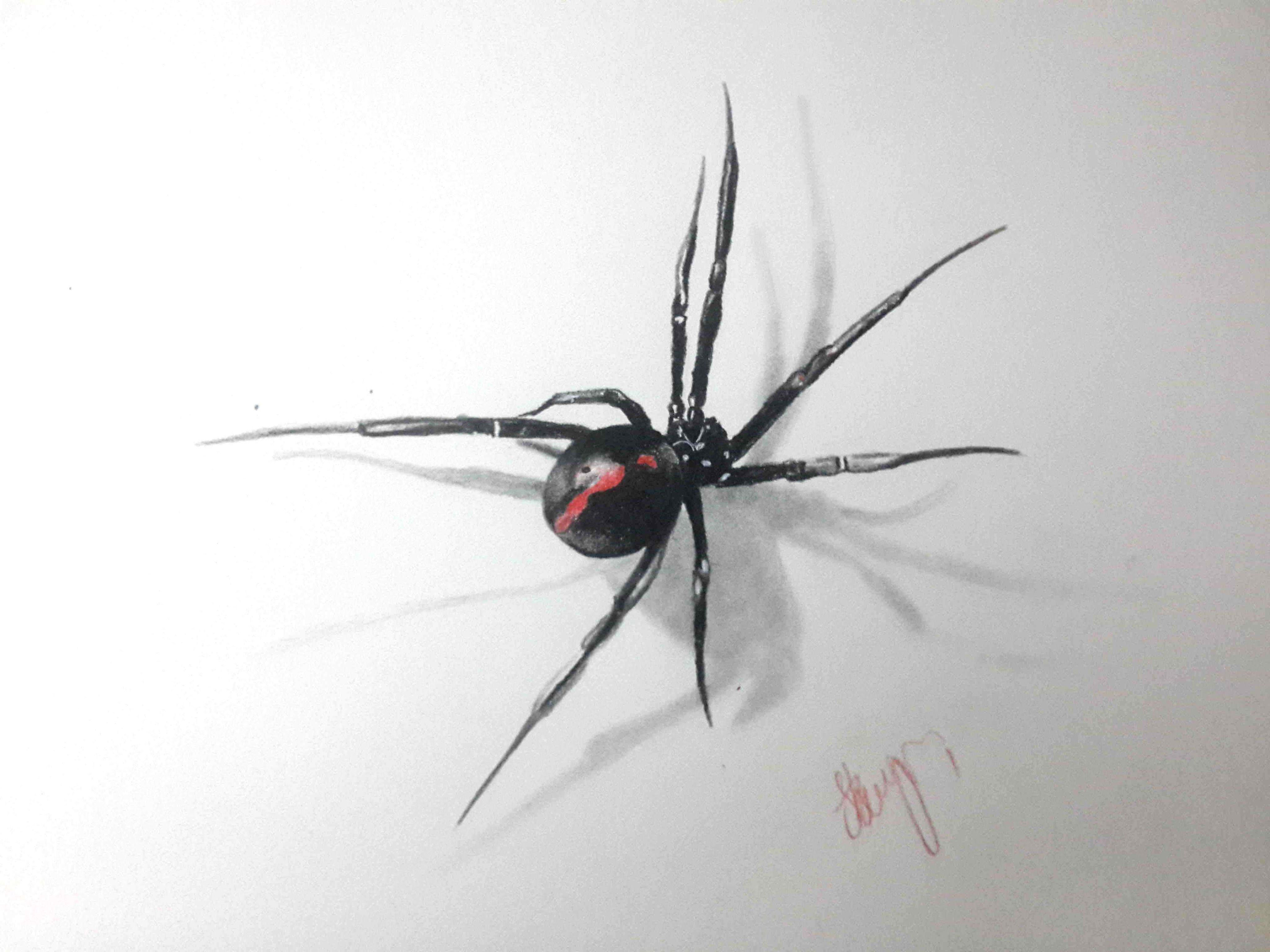 Wallpaper #NvSyOZMBKFX8bn3rzHd0256 Printable 3D Spider Drawing