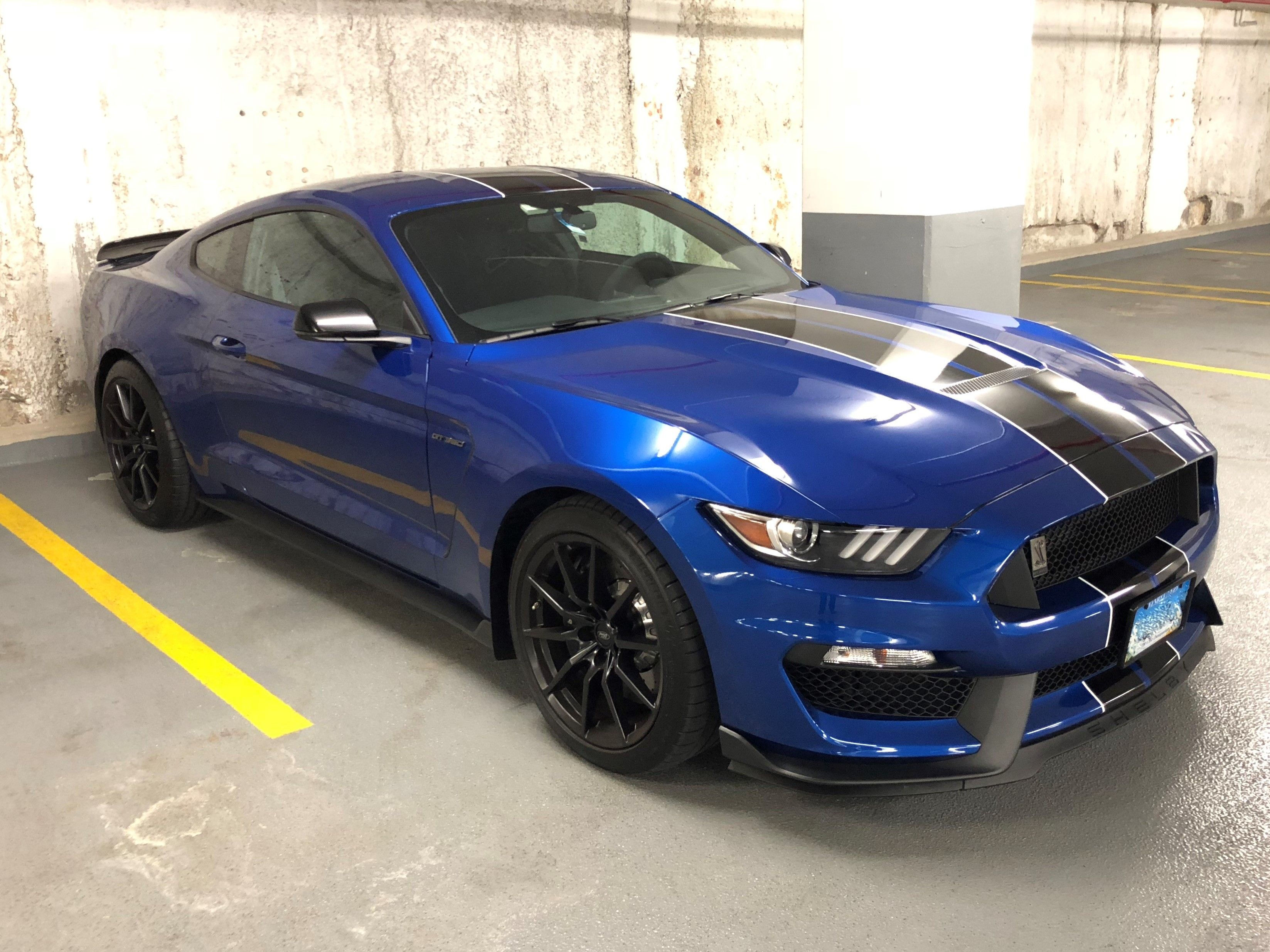 Wallpaper #wX1j844Bnwiau_P6pwz659 Black and Blue Mustang Glecoupeblog
