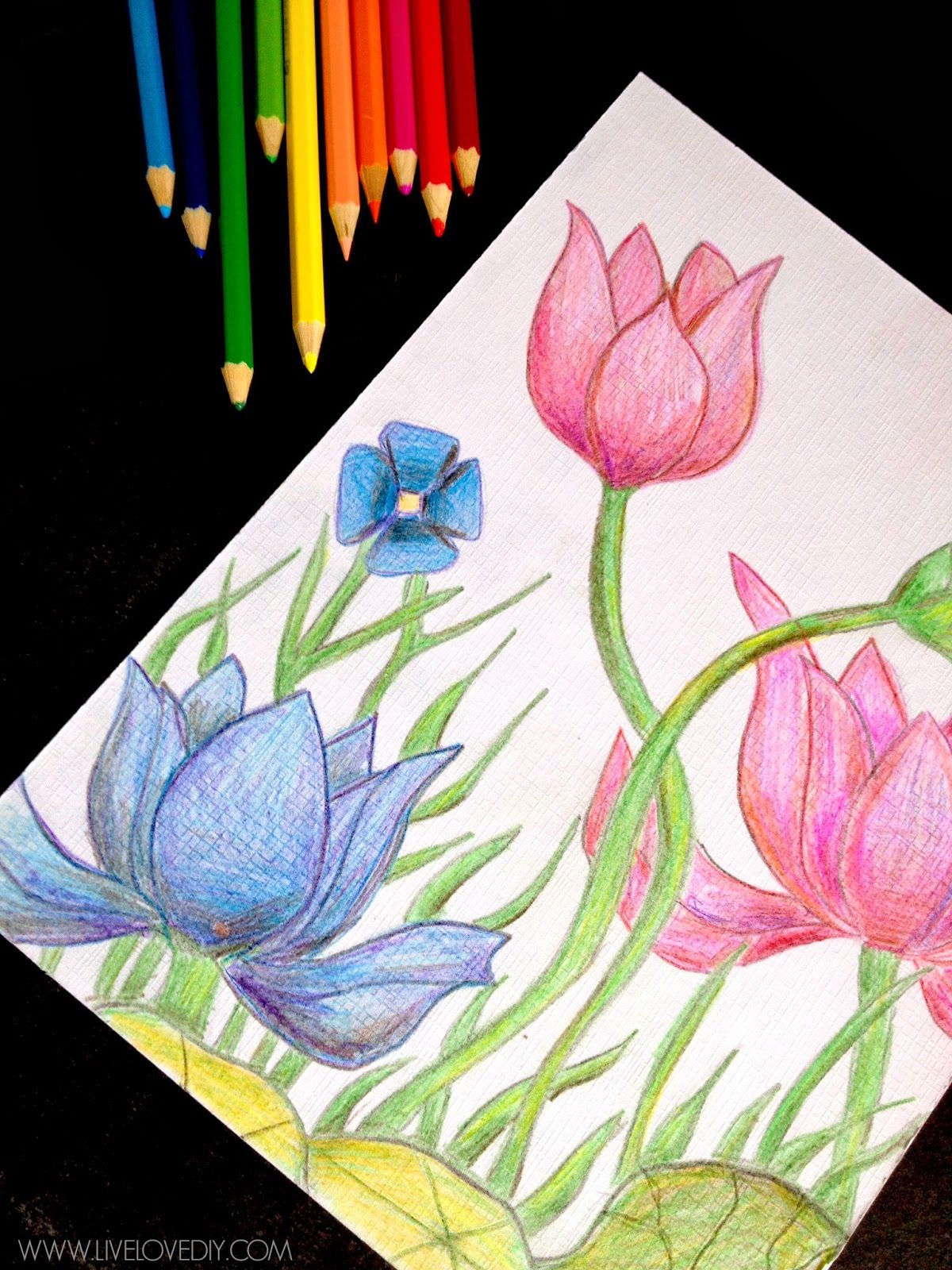 Wallpaper #OBqEUJMB1yWOL4qgwYA7159 Colored Pencil Drawing Tutorial Easy at Ricky Ortega Blog