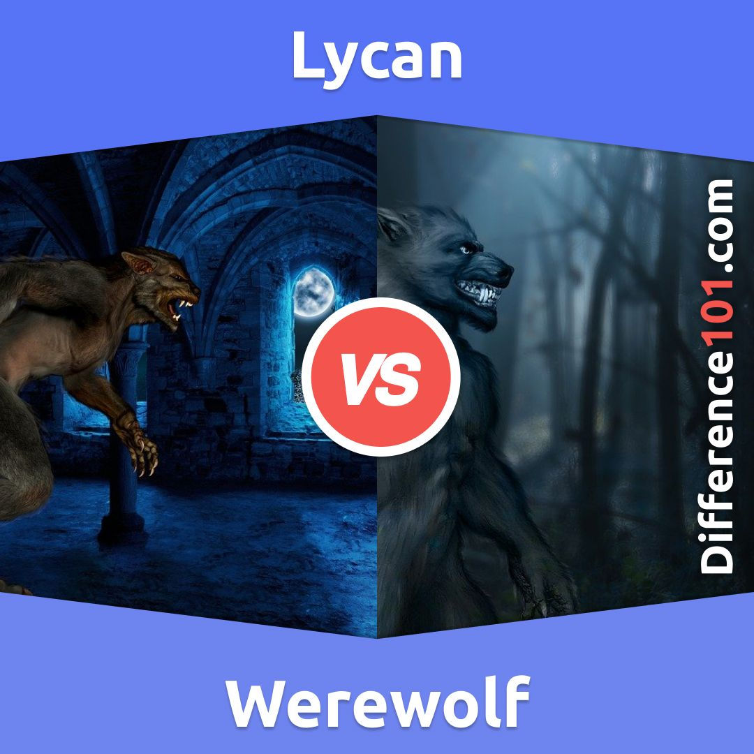 Wallpaper #uEB5MZMBJhL2WPbaucYs177 Werewolf vs Lycan Whats the Difference Between Werewolf and Lycan
