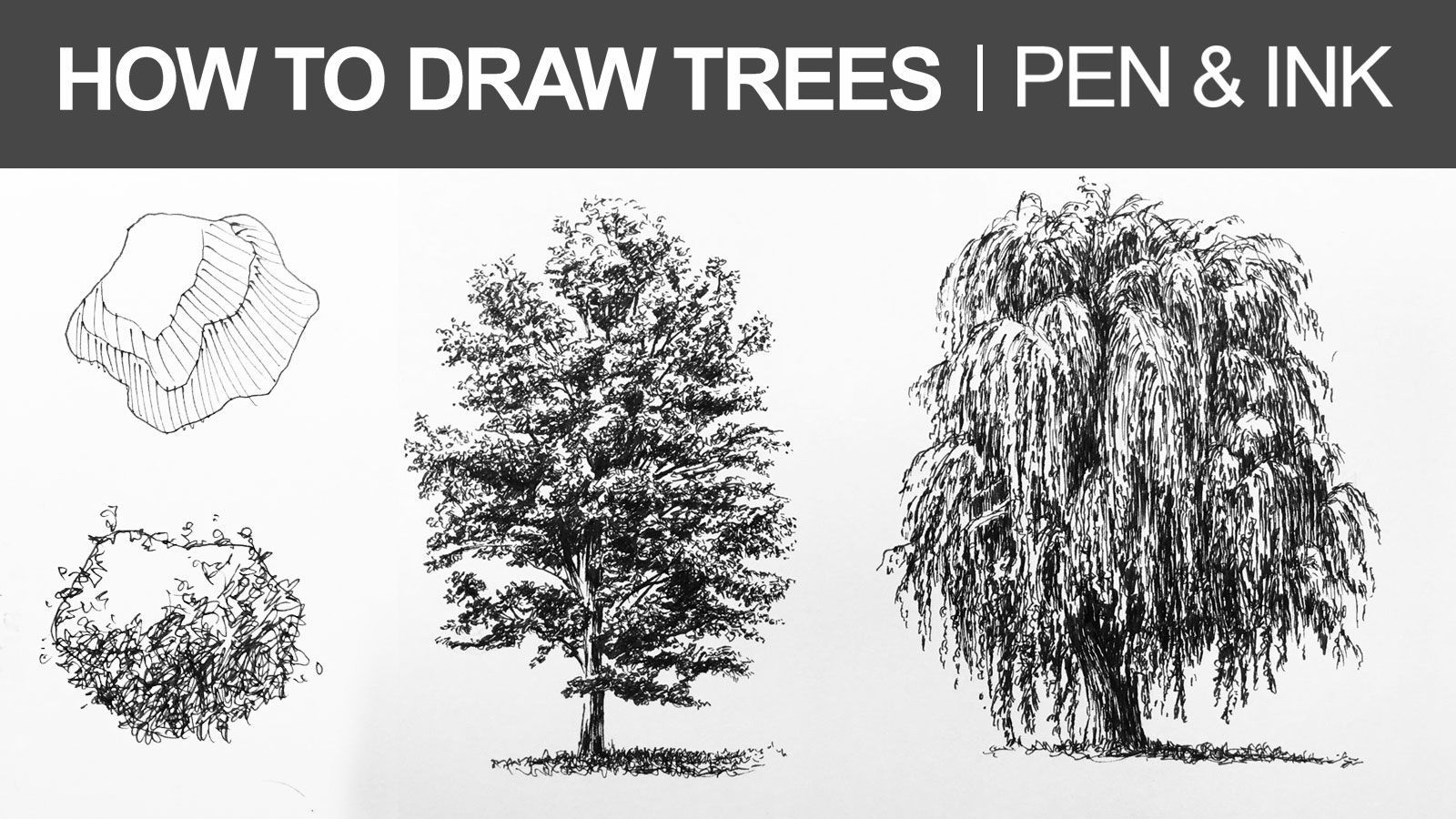Wallpaper #BWgvFZMBSpphPi3-Zwec138 Learn How to Draw Trees with Pen and Ink in This Lesson Penandink