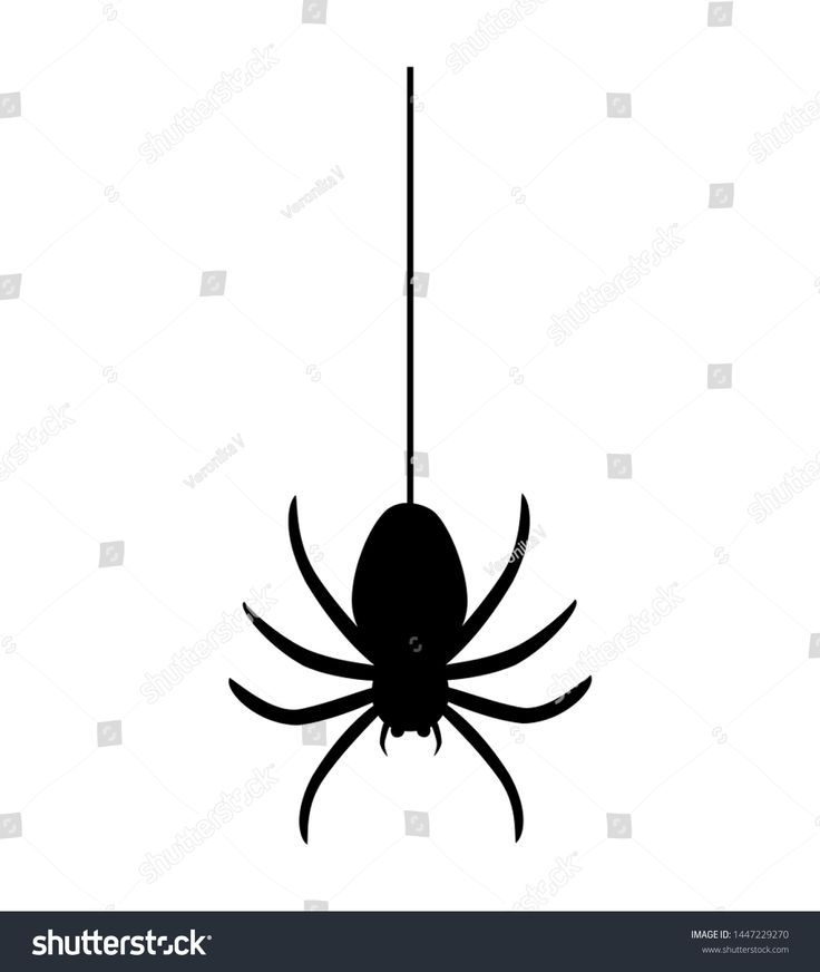 Wallpaper #71bf1 Pin by Kayleigh on Spider Drawings in 2024 Spiderman Drawing
