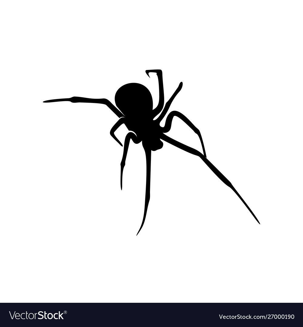 Wallpaper #QLiK25IBJvJKYCmEA_eo66 Spiders Vector Design Logo Spiders Illustration with Various Shapes