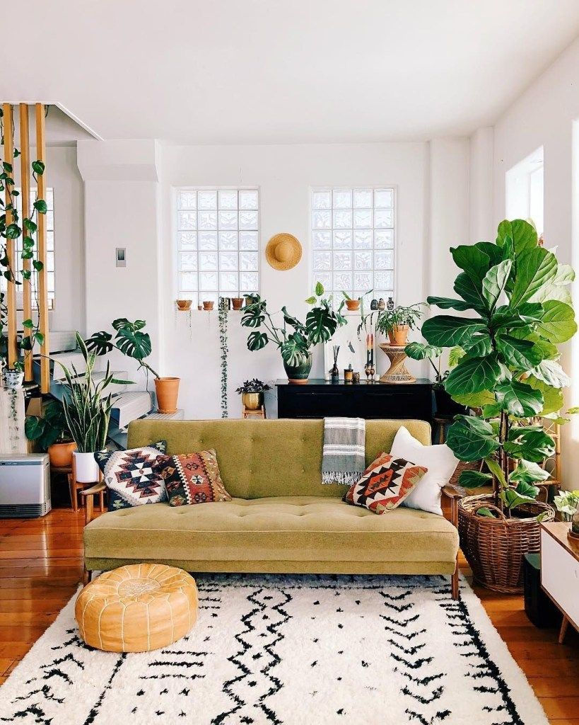 Wallpaper #b5610 30 Pretty House Plants Ideas for Living Room Decoration Living Room