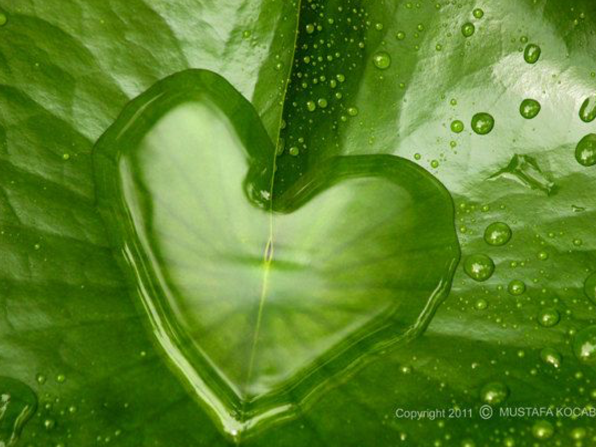 Wallpaper #Tmd395IBSpphPi3-tobx211 Pin by Sally Squibb on Hearts Heart in Nature Heart Shapes Heart Art