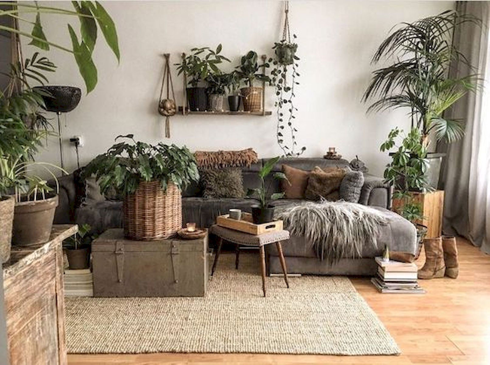 Wallpaper #b5610 30 Pretty House Plants Ideas for Living Room Decoration Living Room