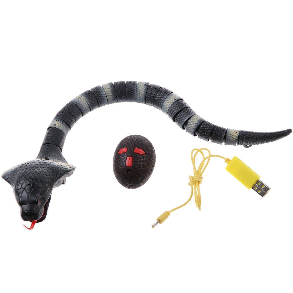 Wallpaper #jmelDJMBSpphPi3-s99F332 Radio Control Snake Toy Amysheartyhome