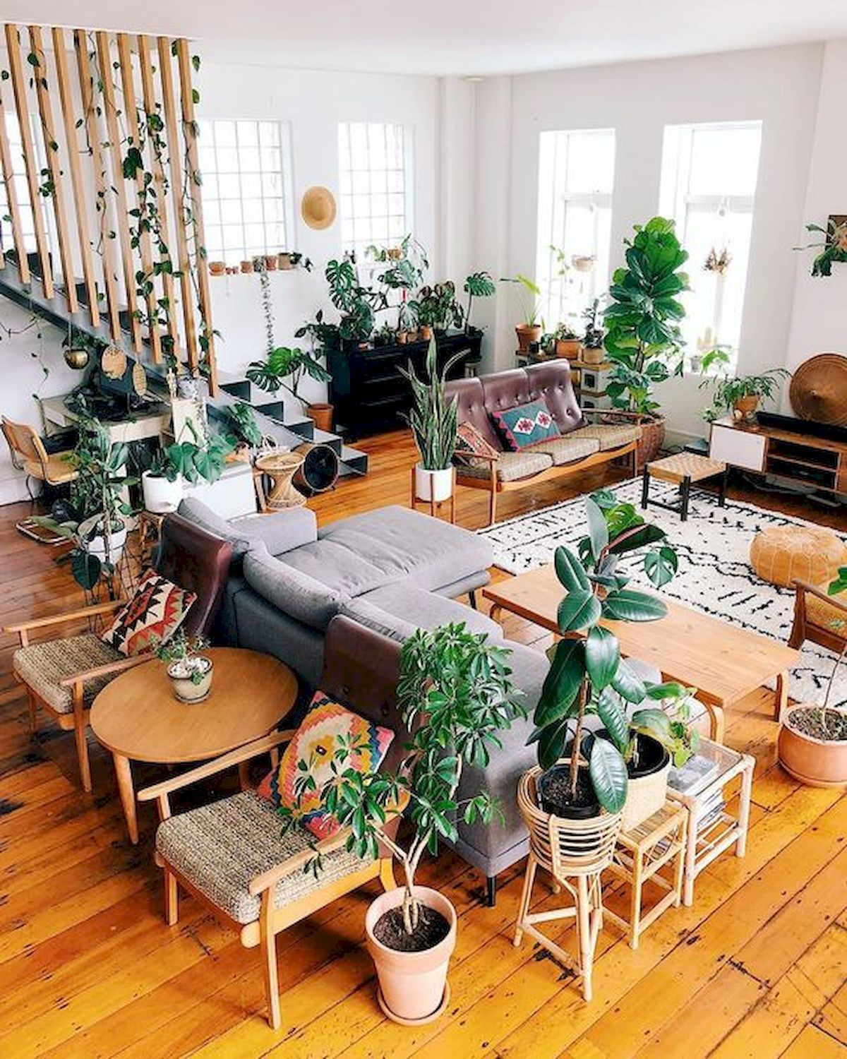 Wallpaper #b5610 30 Pretty House Plants Ideas for Living Room Decoration Living Room
