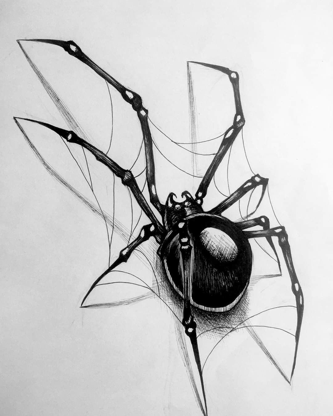 Wallpaper #O_S0OZMBKFX8bn3r9Xeu179 Free Printable Spider Drawings