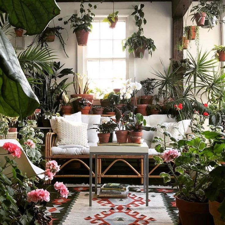 Wallpaper #b5610 30 Pretty House Plants Ideas for Living Room Decoration Living Room