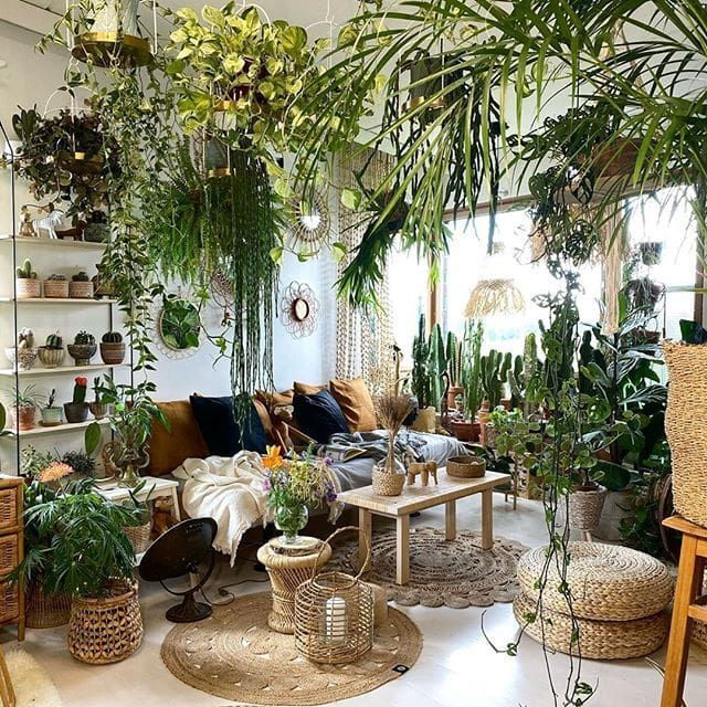 Wallpaper #b5610 30 Pretty House Plants Ideas for Living Room Decoration Living Room
