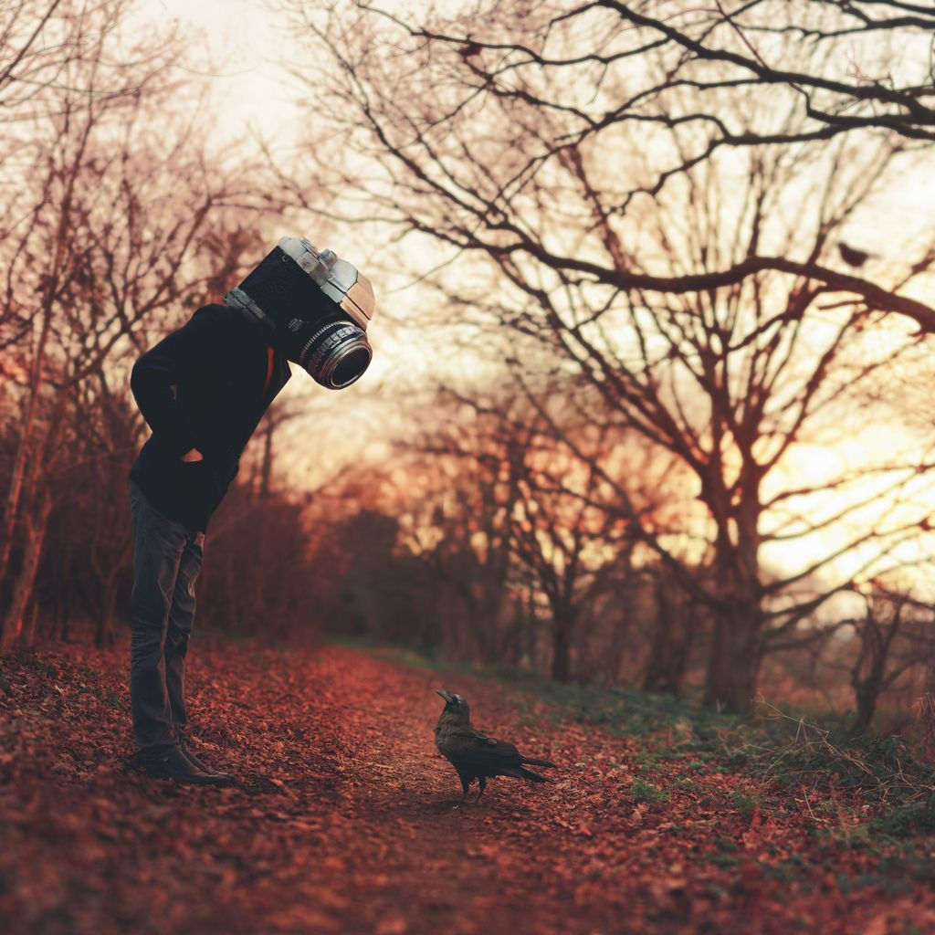 Wallpaper #G2cO8JIBSpphPi3-C2Wp222 Capture It All Surrealism Photography Surreal Portrait Surrealist