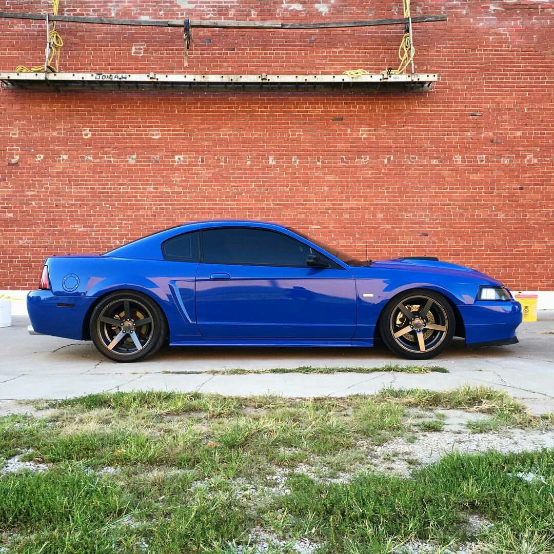 Wallpaper #TxooUZMB1yWOL4qgvoGk144 List of Mustang Sn95 New Edge Wallpaper References
