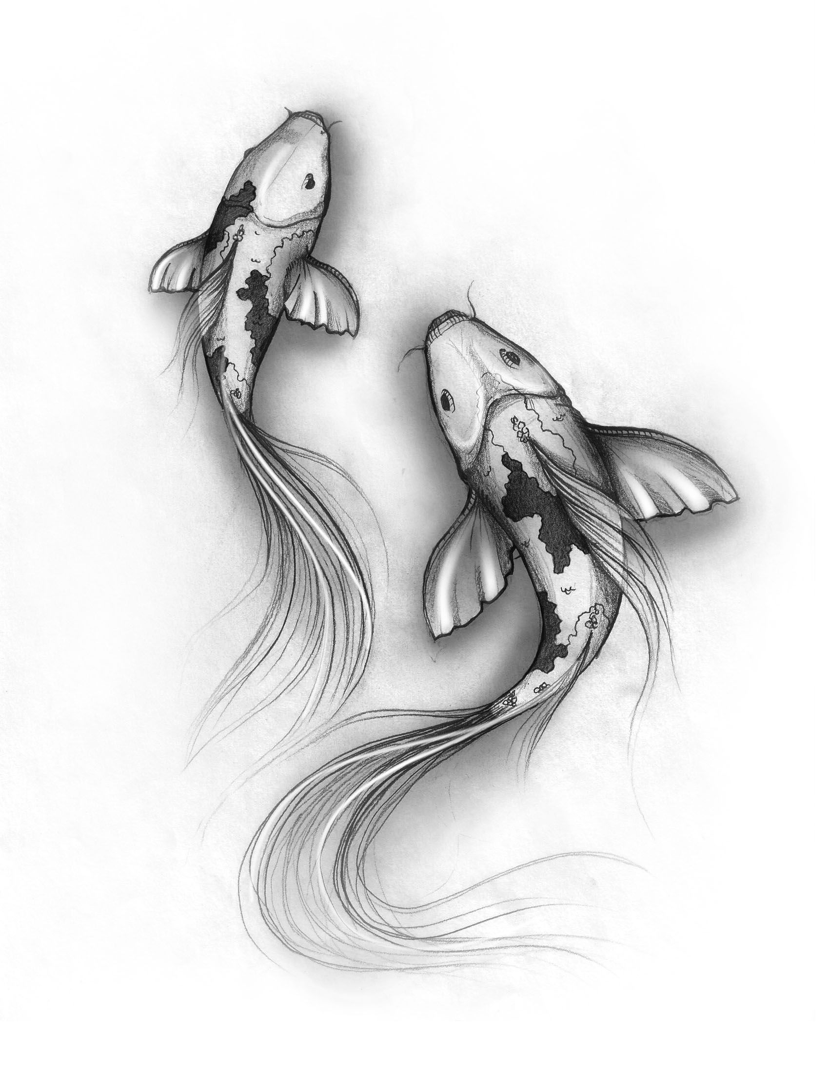 Wallpaper #4f2e6 Koi Fish Heart Original Watercolor Painting Etsy