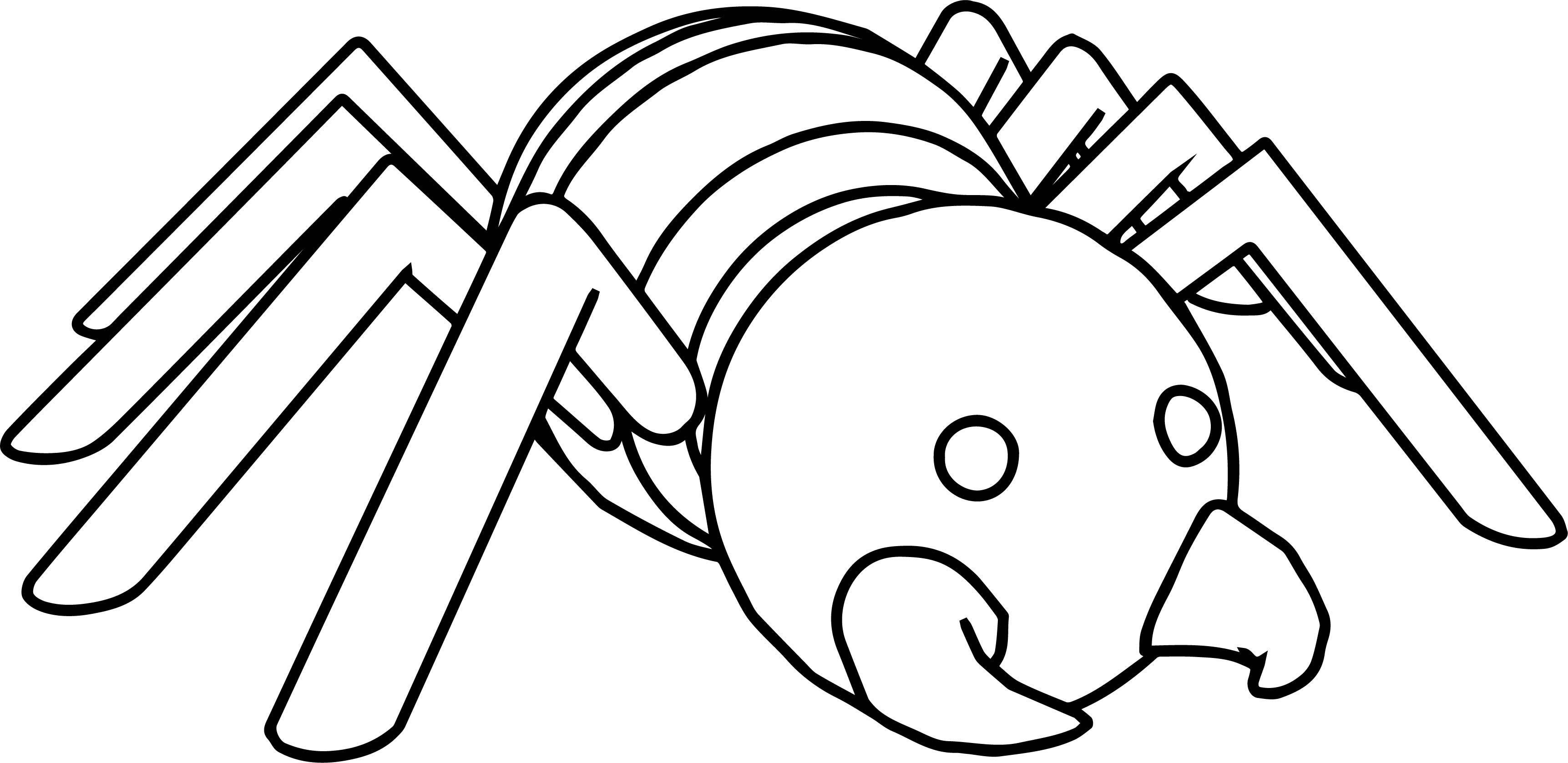 Wallpaper #ZPTDOZMBKFX8bn3rg3ez270 Nice Comic Cartoon Spider Coloring Page Spider Coloring Page Cartoon