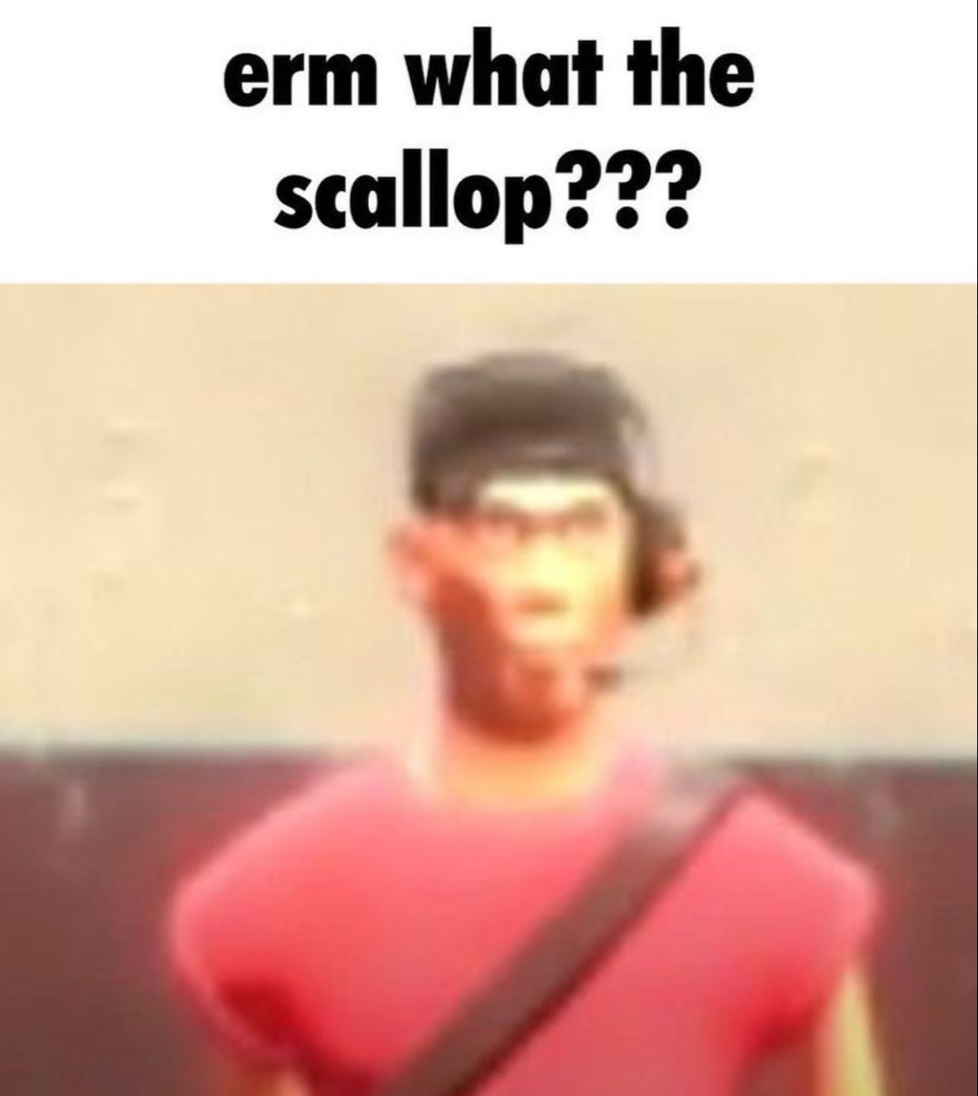 Wallpaper #z2ev85IBSpphPi3-inav163 Erm What the Scallop Tf2 Memes Team Fortress 2 Tf2 Funny