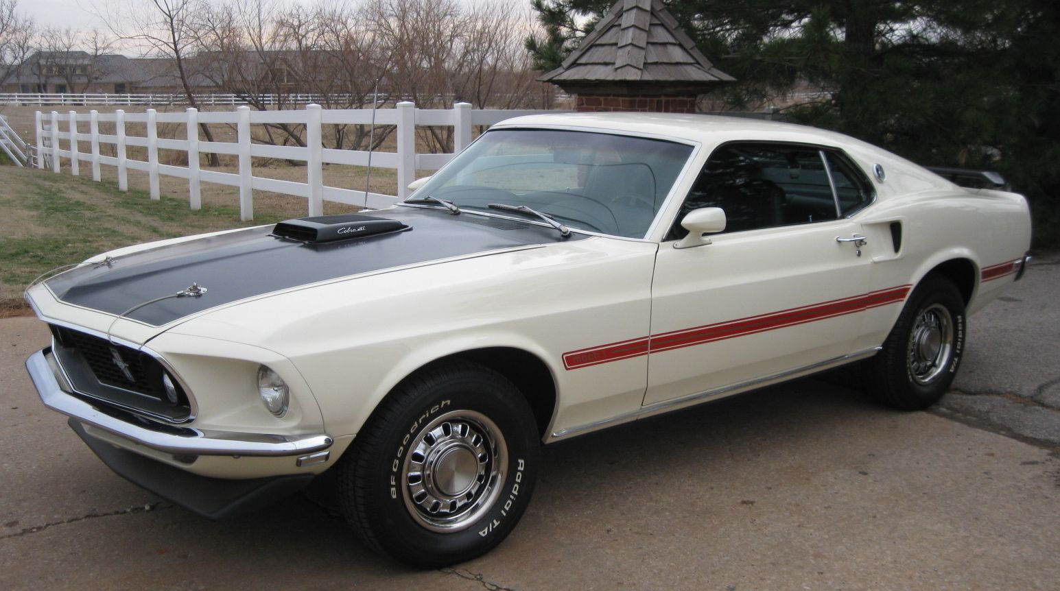 Wallpaper #8mcMCJMBSpphPi3-ysiS240 1969 Ford Mustang Mach 1 with a 428 Cobra Jet Engine Ford Mustang