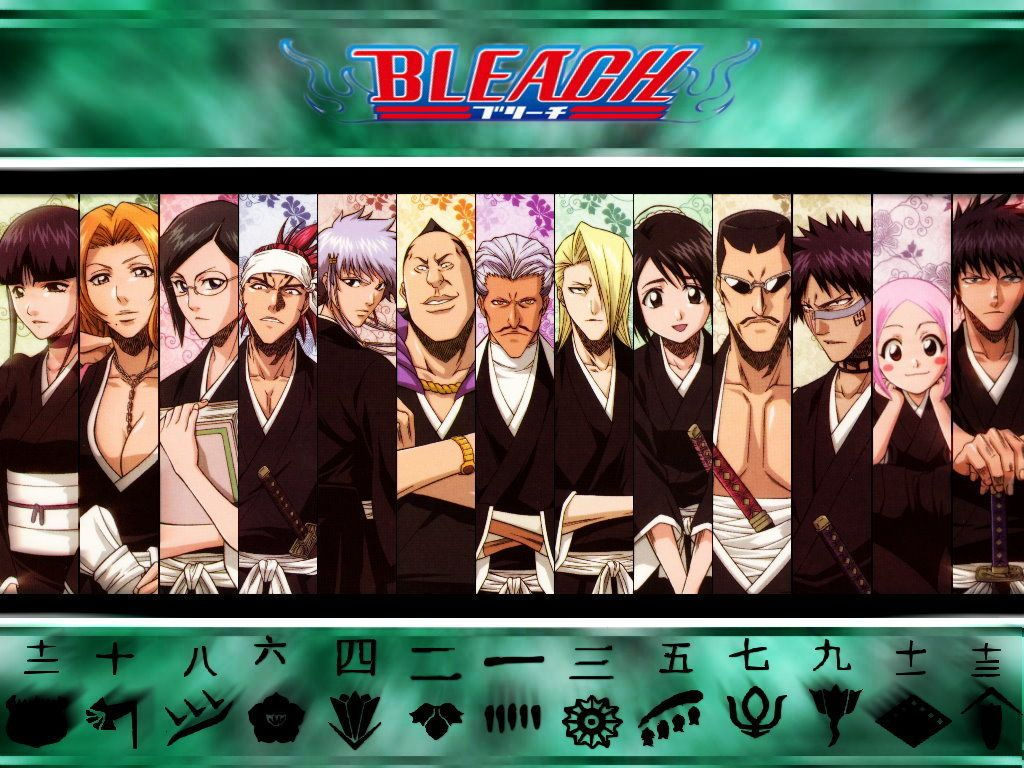 Wallpaper #eGc_9ZIBSpphPi3-s36N85 Bleach Characters Captains and Lieutenants