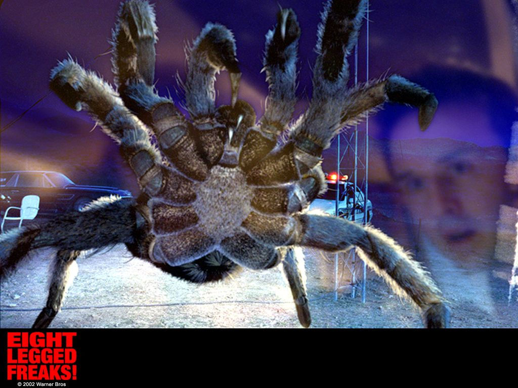 Wallpaper #1vQOOpMBKFX8bn3r-3fK270 Watch Streaming HD Eight Legged Freaks Starring David Arquette Kari