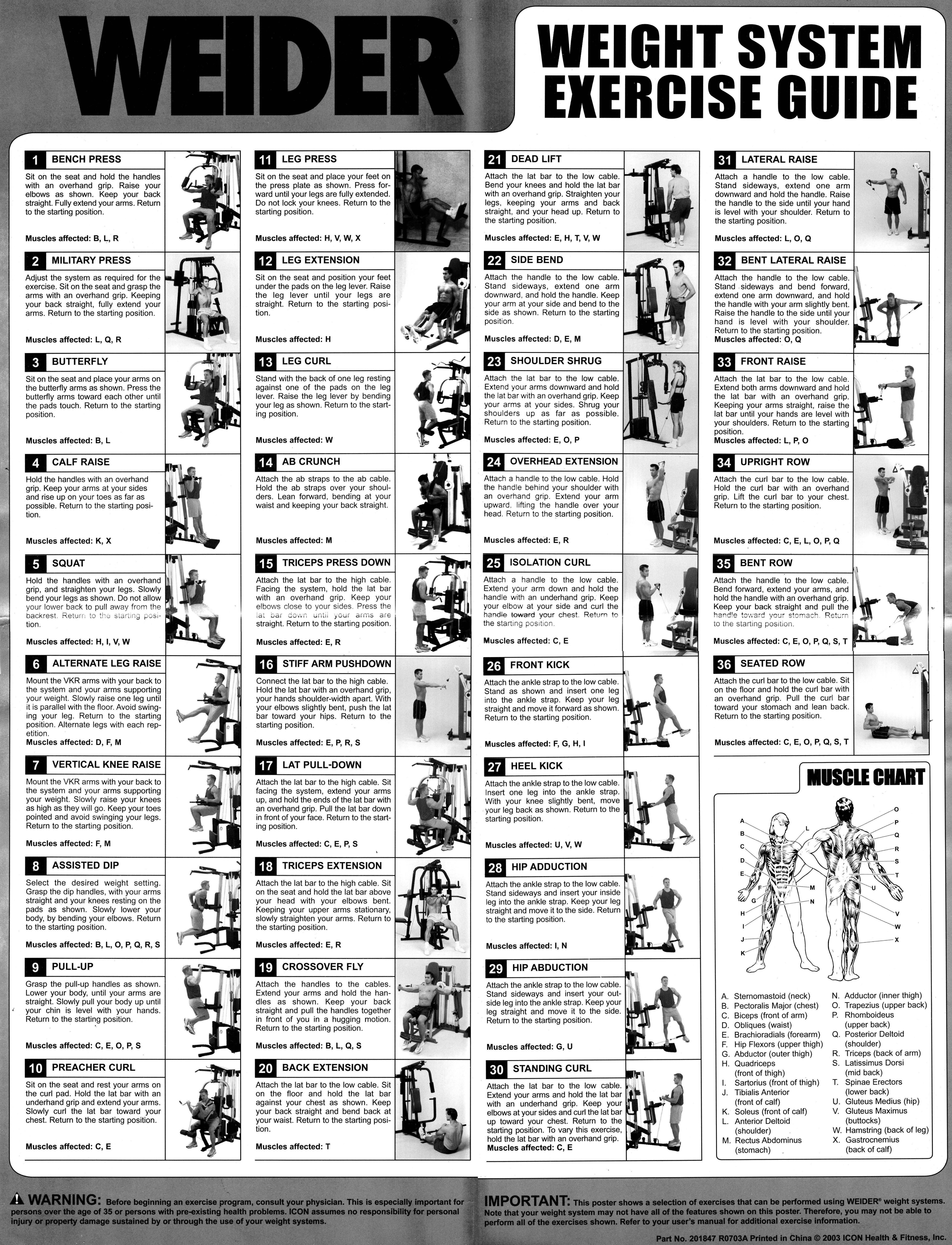 Wallpaper #FF7FB The Suspension Workout Chart Shows How to Do It and What You Can Do with It