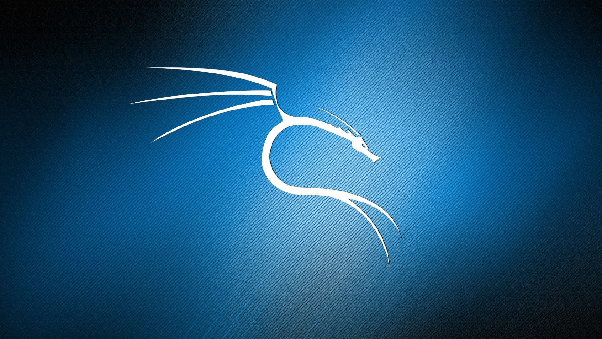 Wallpaper #V2hFGJMBSpphPi3-DBIe155 Kali Linux Wallpaper Blue Backgrounds Hacker Wallpaper Android