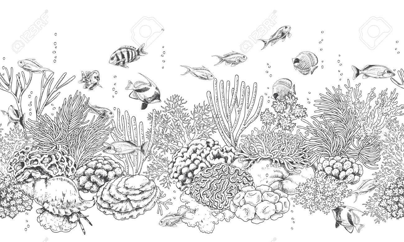 Wallpaper #1mc1CJMBSpphPi3-Ccl7282 Hand Drawn Underwater Natural Elements Seamless Line Horizontal