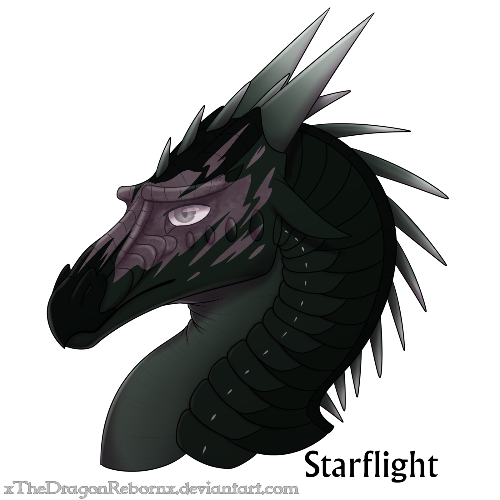 Wallpaper #smeq_5IBSpphPi3-zaNu287 Starflight from Wings of Fire Lasopatheme