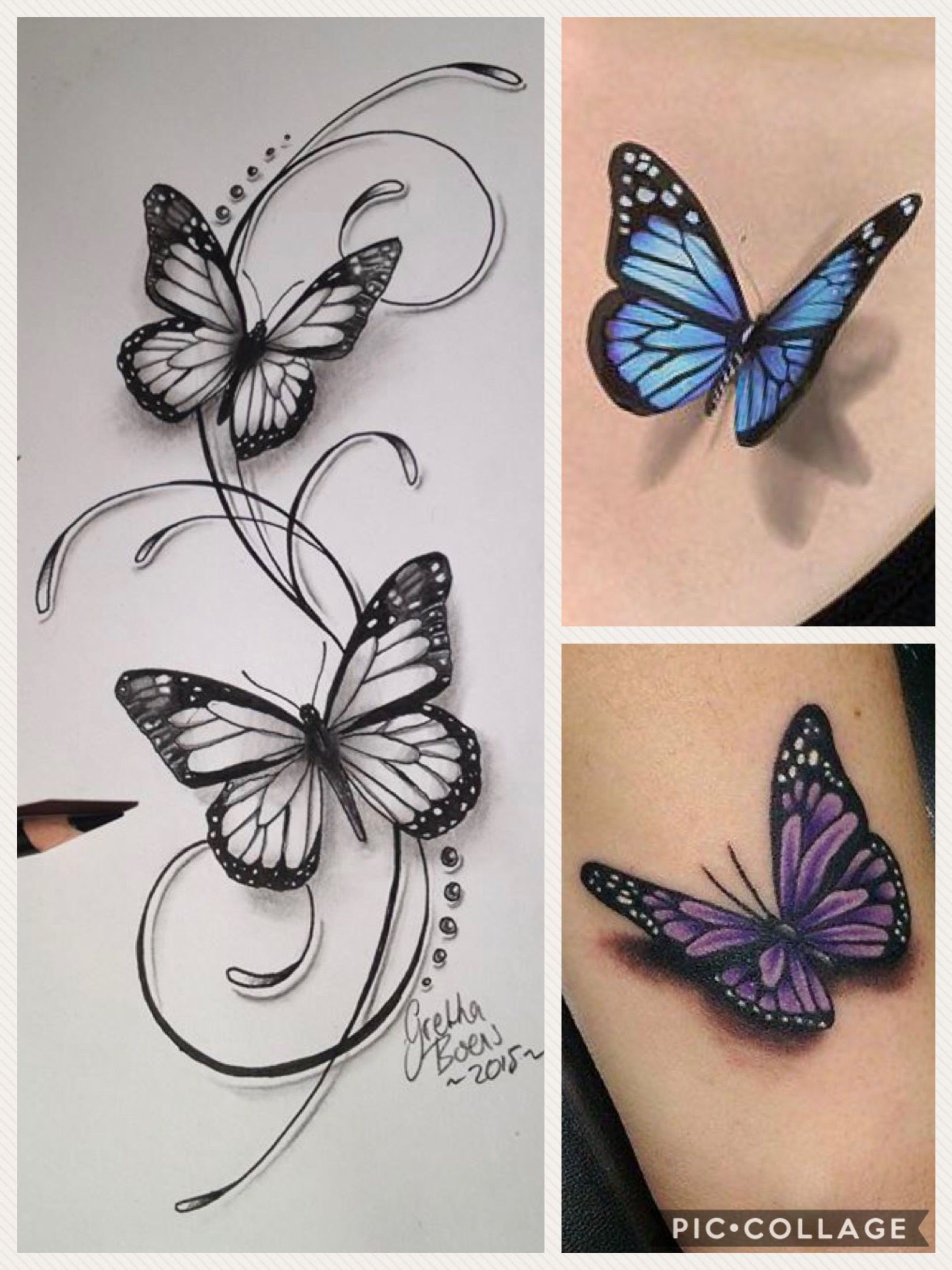 Wallpaper 7F10F Butterfly Tattoo Outlines for Women Ink Blacktattoo Tattoo White HD Wallpaper 7F10F