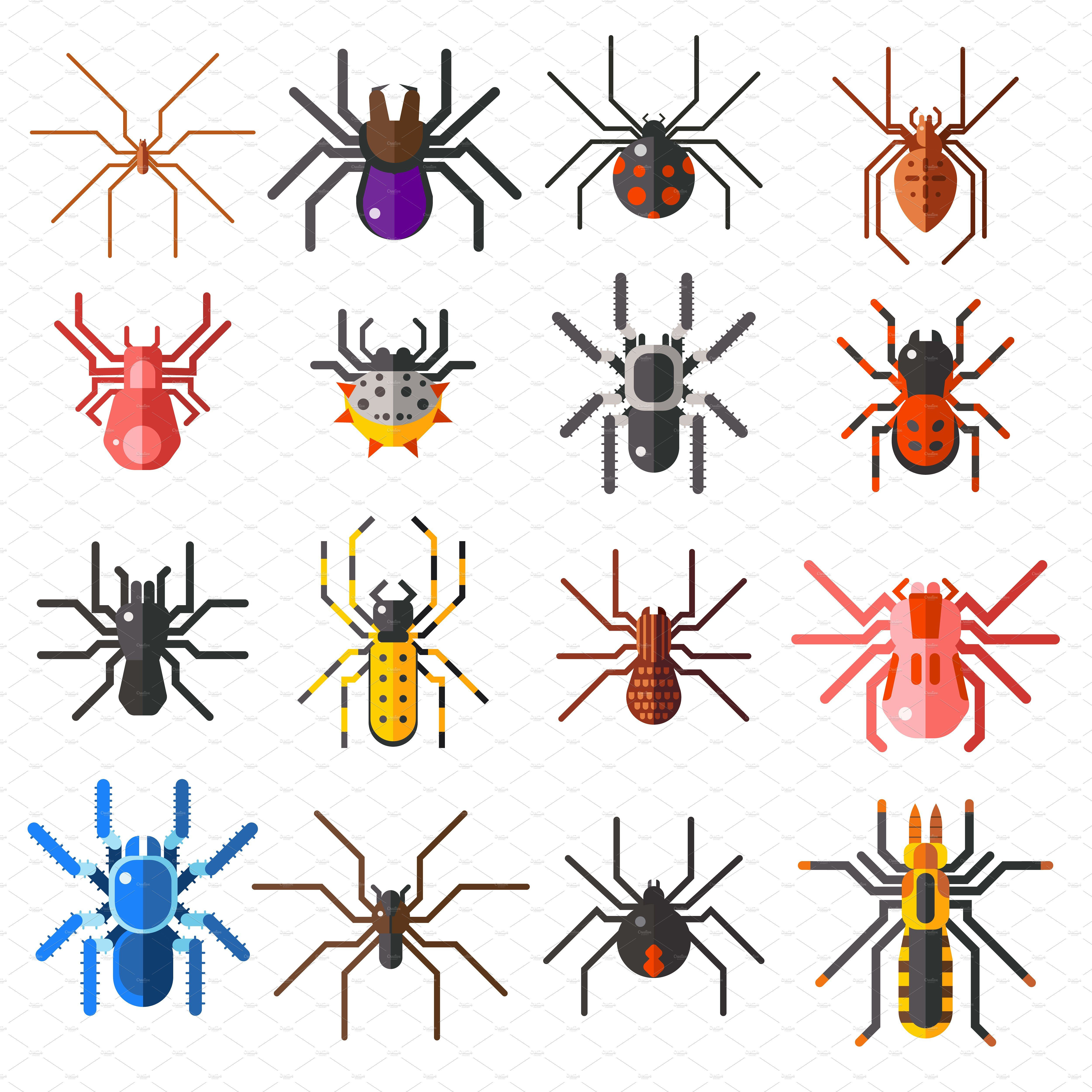 Wallpaper #SQDU6o4BSdW8dNouJRB246 The Different Types of Bugs and Spideres Are Shown in This Illustration