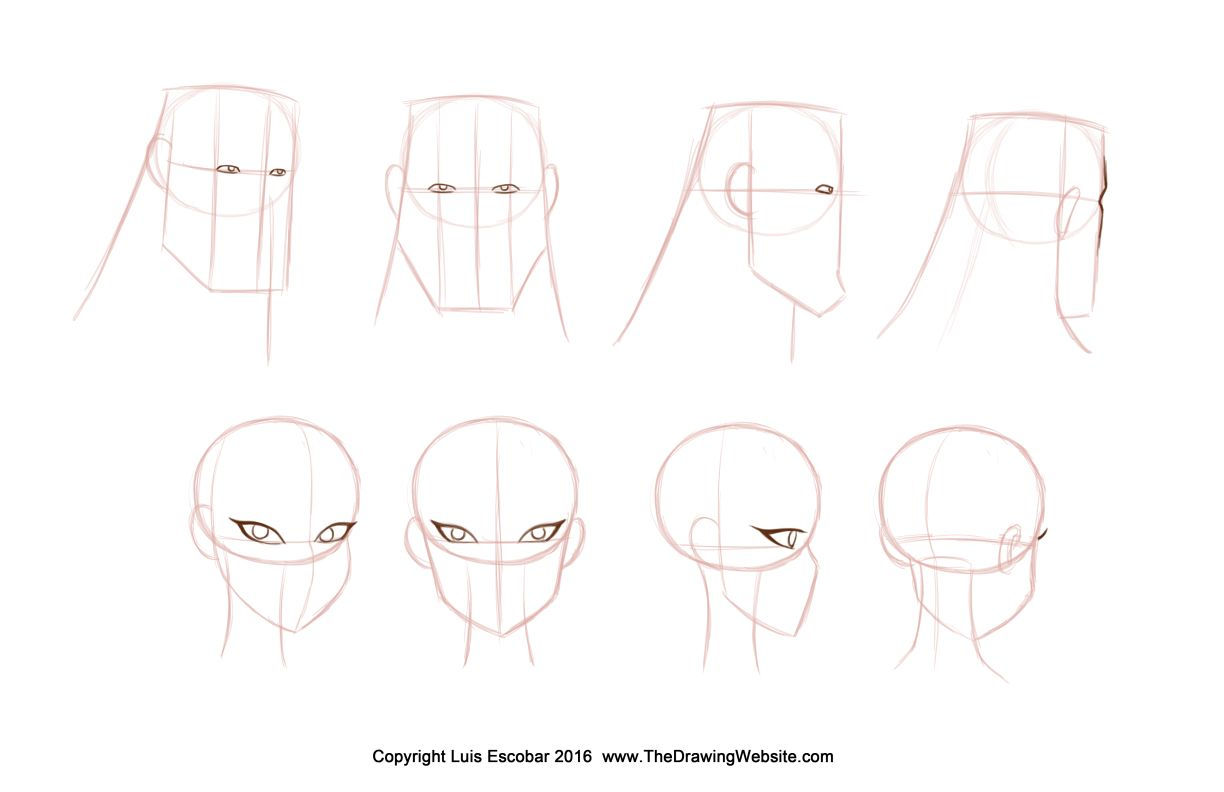 Wallpaper #1BmuOI8BtGB6xQ78W6ju35 Bruce Timm Style Eyes Formula Turn Around Drawing for Beginners