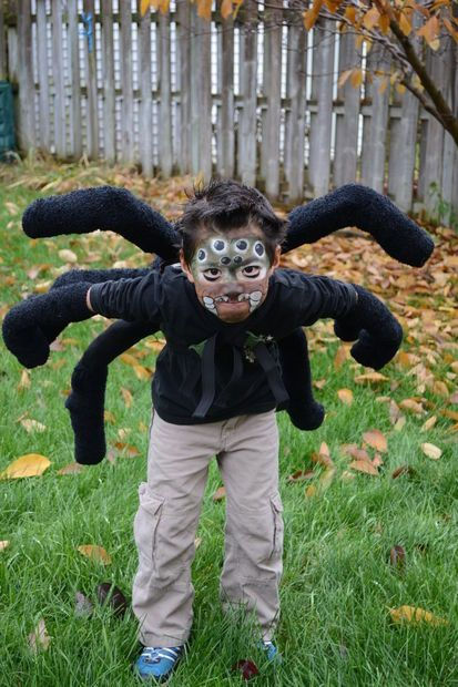 Wallpaper #SLiu2JIBJvJKYCmEWOmY86 Diy Spider Halloween Costume Spider Halloween Costume Best Friend