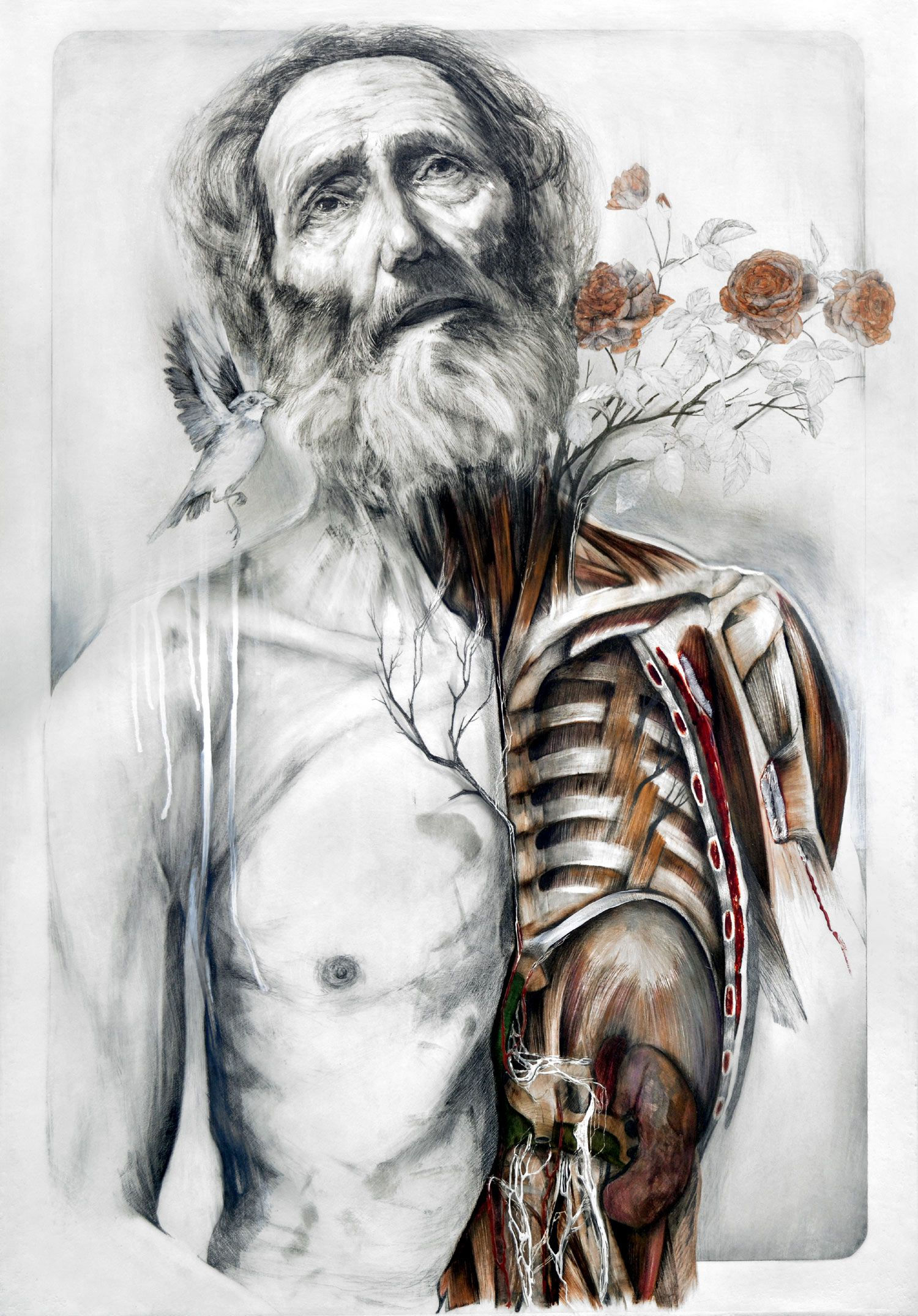 Wallpaper #WWdkEpMBSpphPi3-tvsO14 Dissected Splendor Nunzio Pacis Visionary Anatomy Paintings Medical