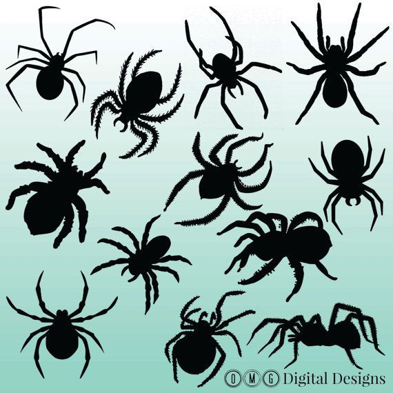 Wallpaper #71bf1 Pin by Kayleigh on Spider Drawings in 2024 Spiderman Drawing