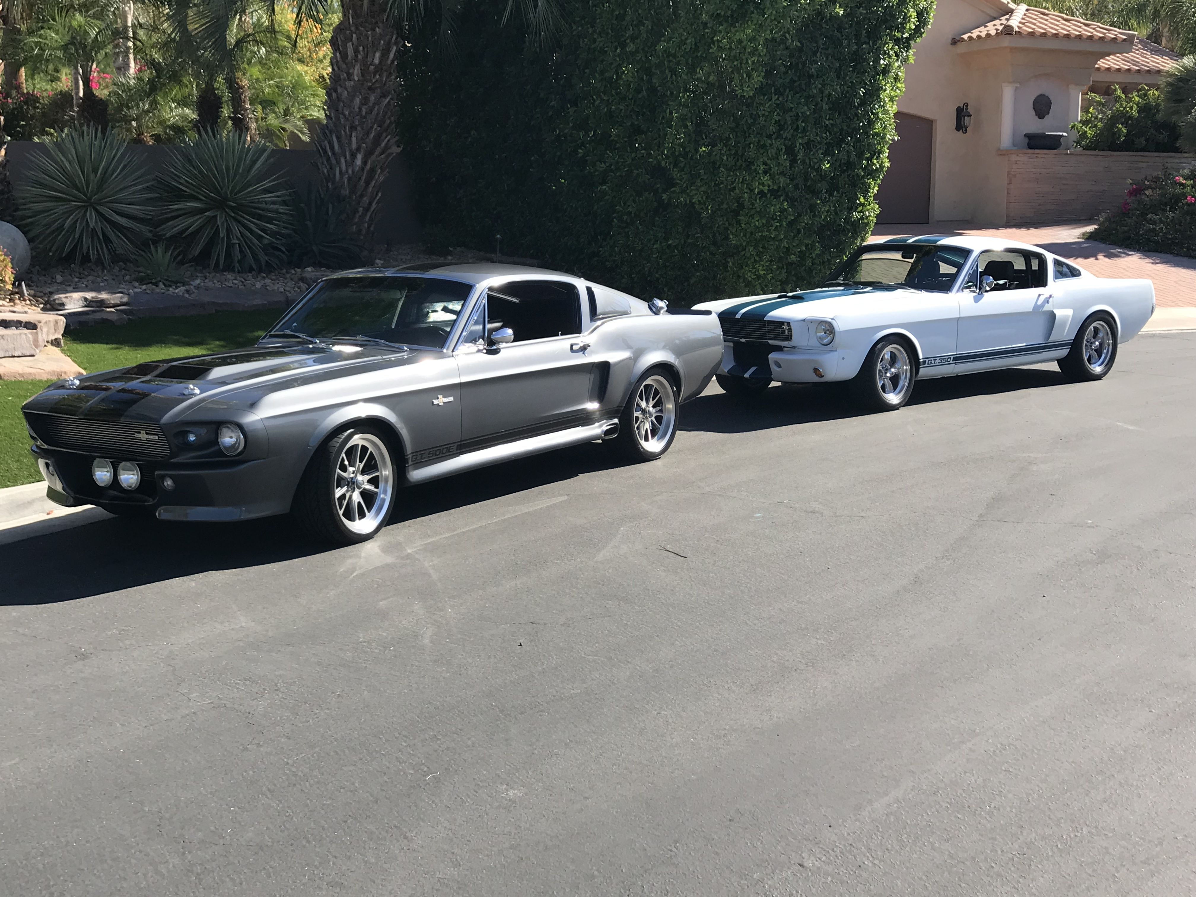 Wallpaper #A2jxIJMBSpphPi3-zi-J342 Shelby GT 500 Classic Mustang Mustangs Ford Mustang Arty Bike