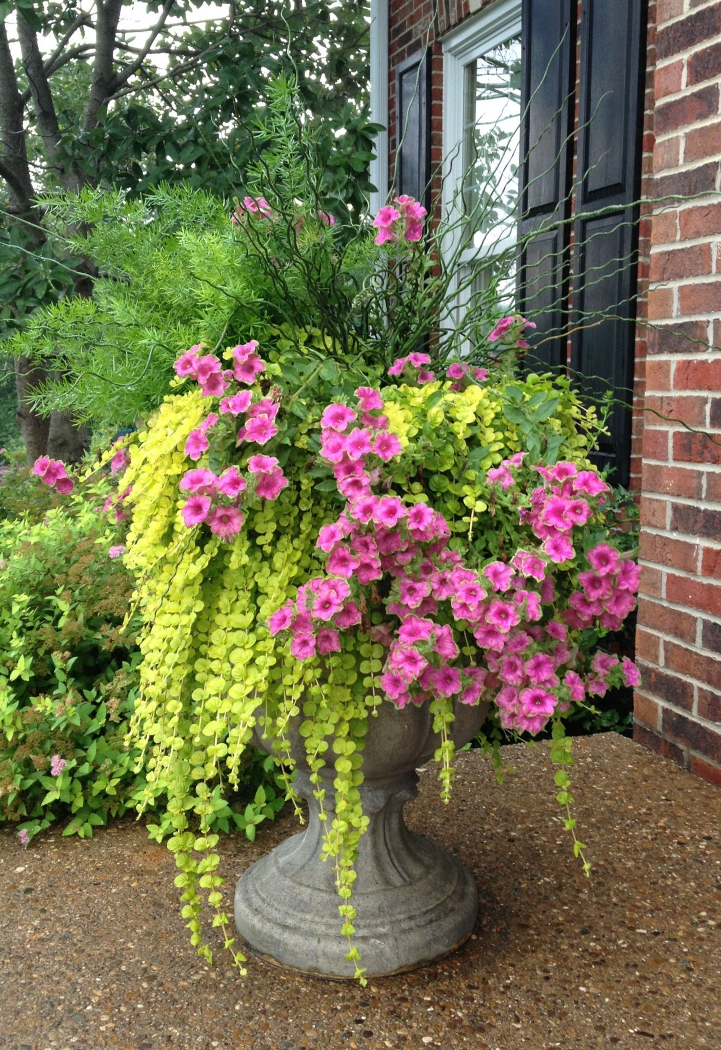 Wallpaper #CA3B8 Unique Outdoor Planters for Your Garden Homesfeed