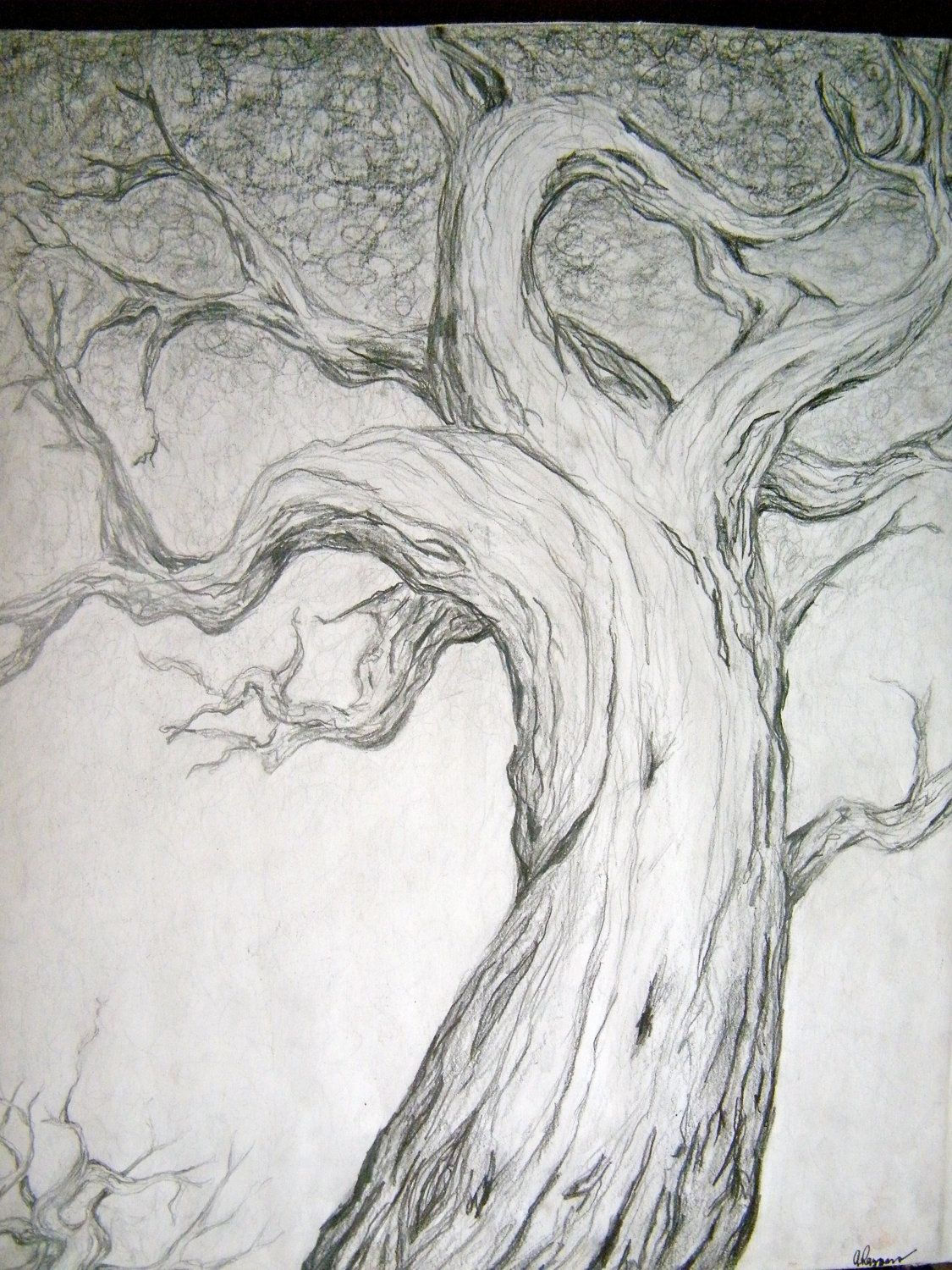 Wallpaper #BWgvFZMBSpphPi3-Zwec80 Dessin De Larbre Etude De Crayon Par Paintbylayers Sur Etsy Croquis