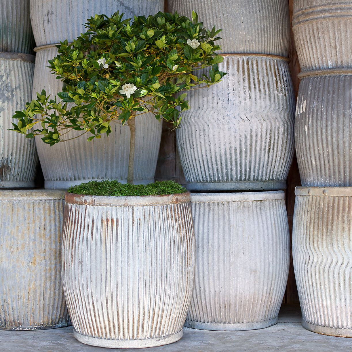 Wallpaper #CA3B8 Unique Outdoor Planters for Your Garden Homesfeed