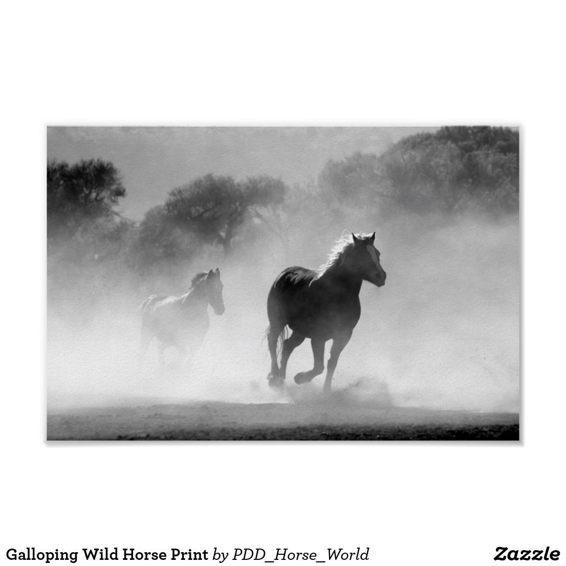 Wallpaper #CR2YLJMBlOZrFDOk0ssm178 Horse Galloping Horsemen of the Apocalypse Tier Fotos Horseman Wild