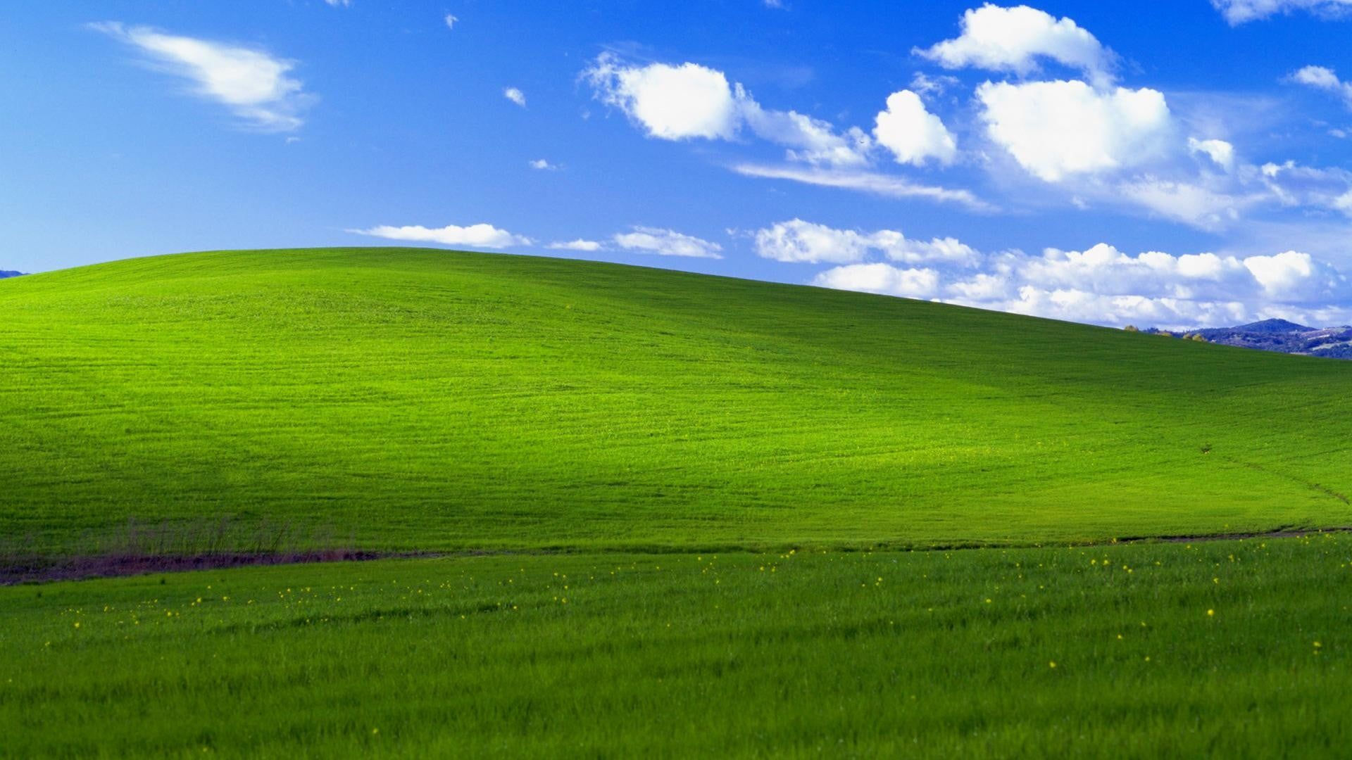 Wallpaper #Z3QYvY4B_8f4nGFaPGsi9 Grass Bliss Windows Xp Landscape California 1080p Wallpaper