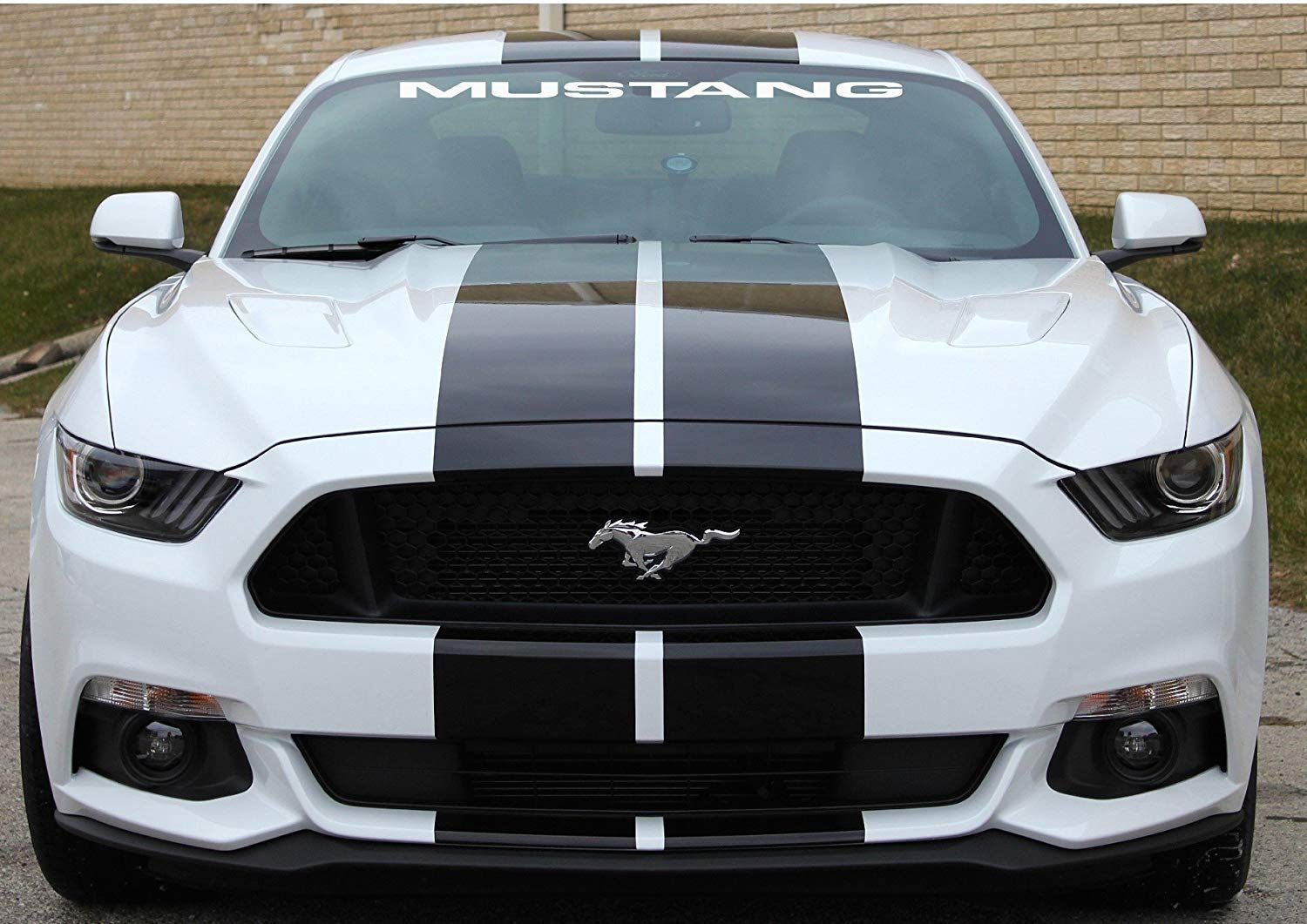 Wallpaper #q4IoQJMB0GiFKesMV8Cc223 Ford Mustang Ford Mustang Mustang Mustang Cars