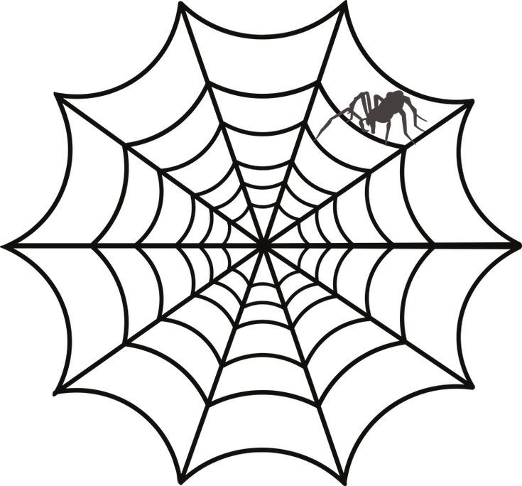 Wallpaper #71bf1 Pin by Kayleigh on Spider Drawings in 2024 Spiderman Drawing