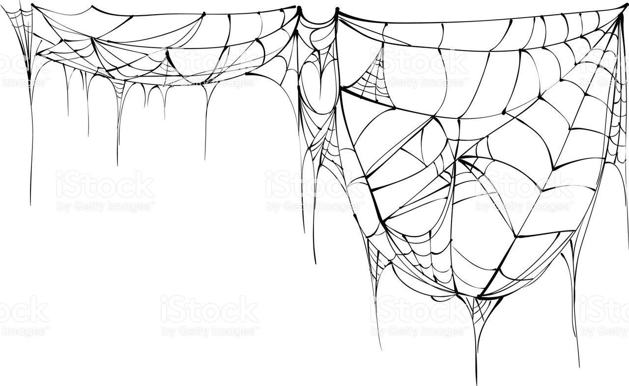 Wallpaper #mWf1-JIBSpphPi3-LItN281 Pin Auf Reference Spinnennetz Spinne Spinnenweben