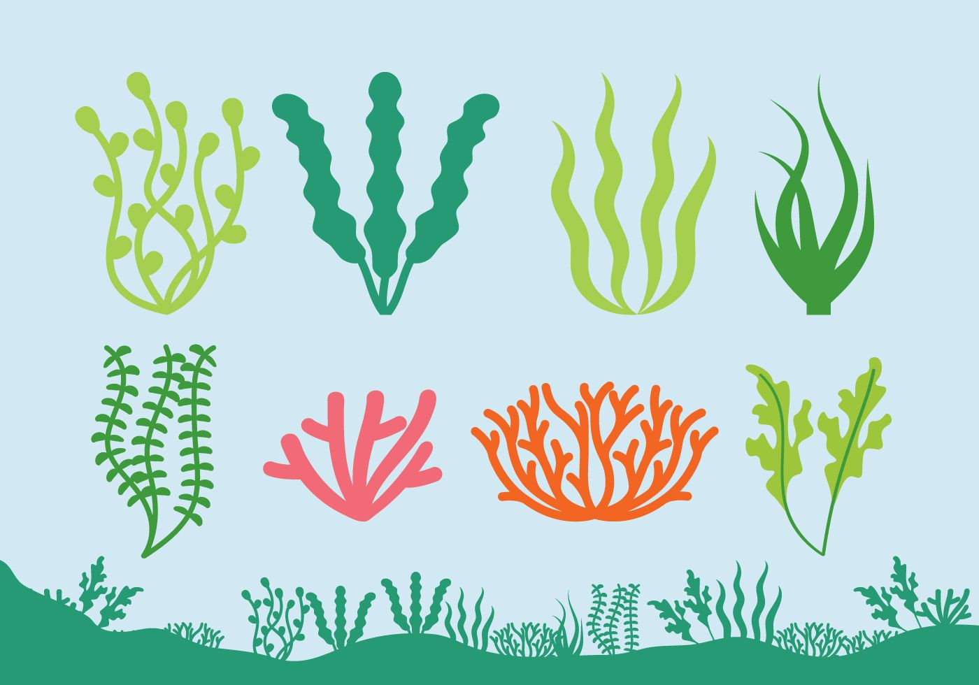 Wallpaper #1mc1CJMBSpphPi3-Ccl7296 Download Sea Plants Icons Vector Art Choose from Over a Million Free
