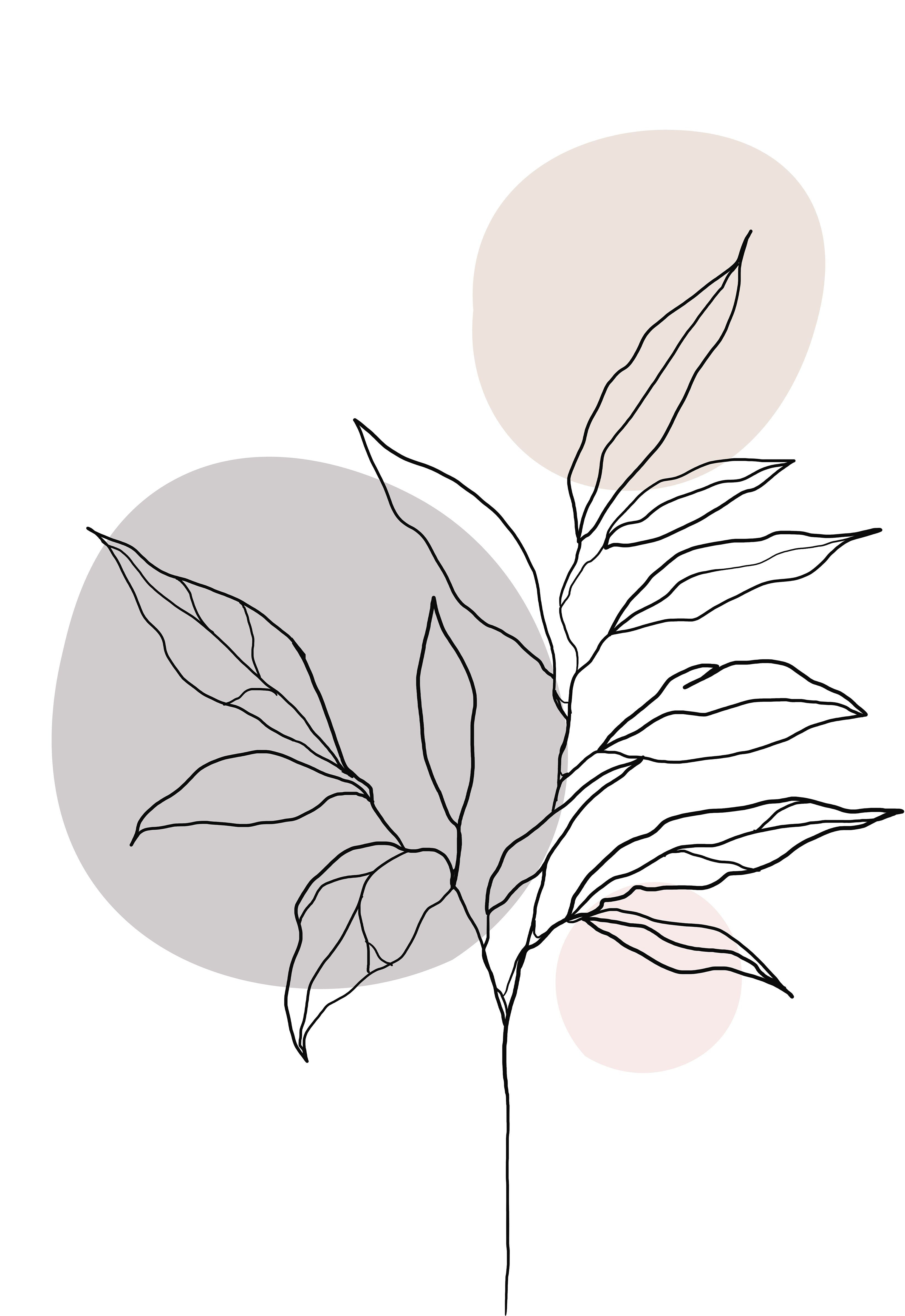 Wallpaper #aWdbBJMBSpphPi3--bfl380 Minimalist One Line Art Plant Poster Plant Painting Botanical Poster