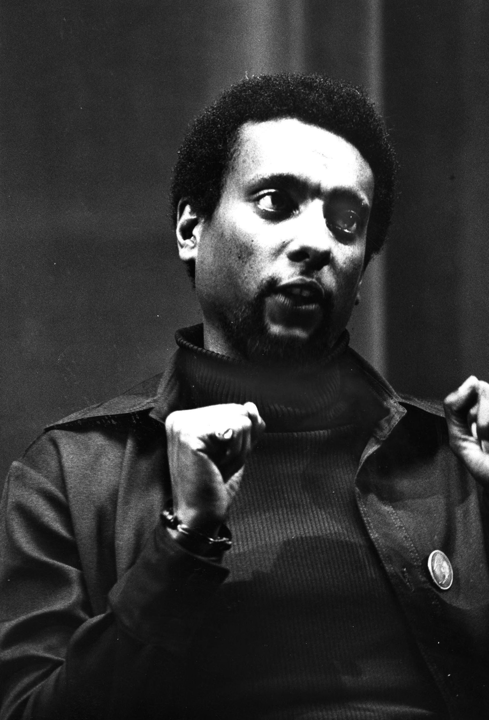 Wallpaper #6d884 The Black Panthers Vanguard of the Revolution Documentary About