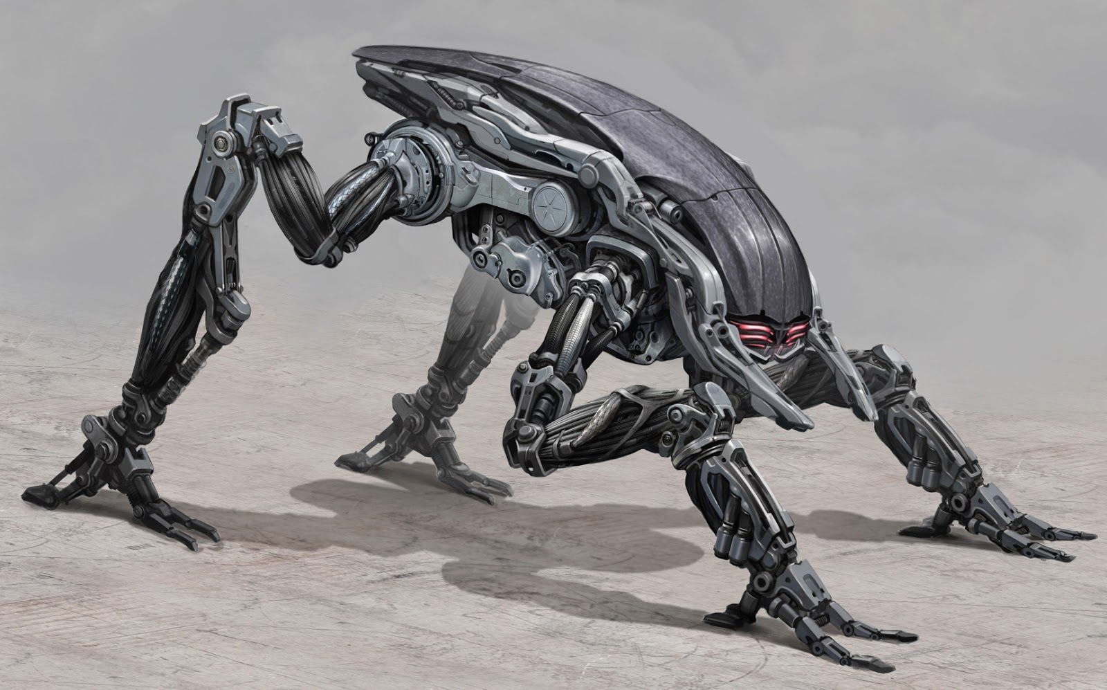 Wallpaper #32cE-5IBSpphPi3-g5LU50 Robot Beetle Google Search Martin 2014 Robot Art Robot Animal